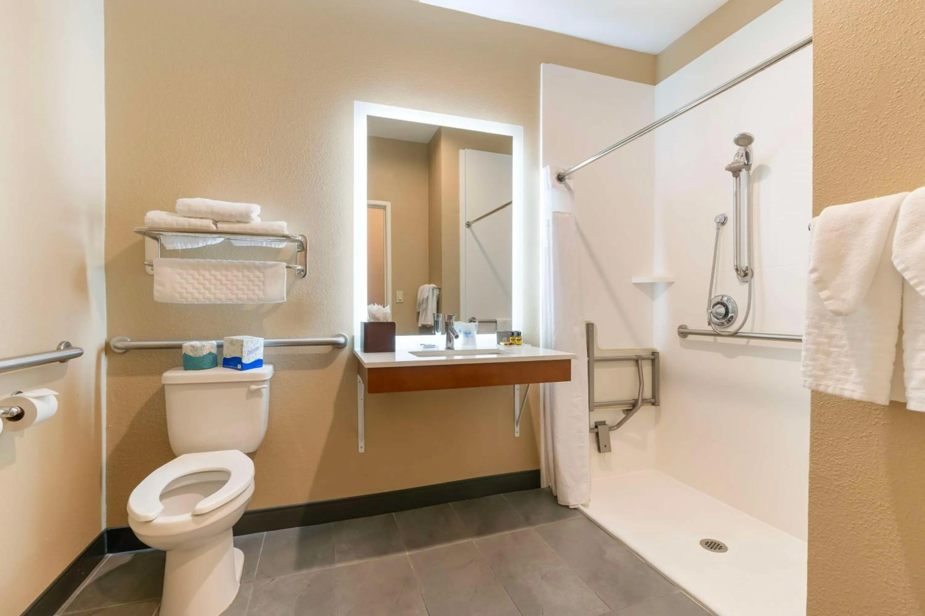 Bathroom in Best Western Bend North