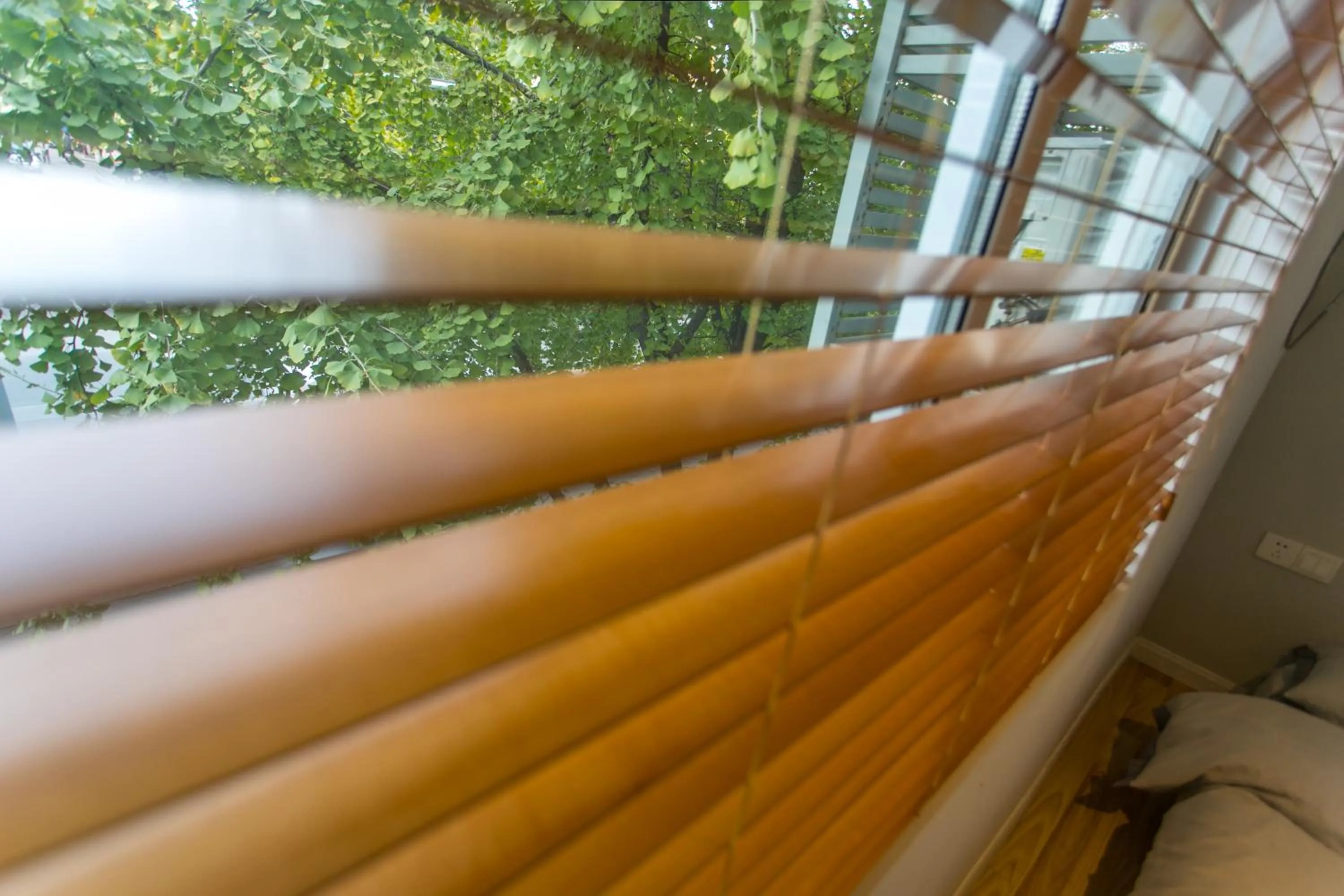 Garden view in Suzhou Blue Gate Youth Hostel