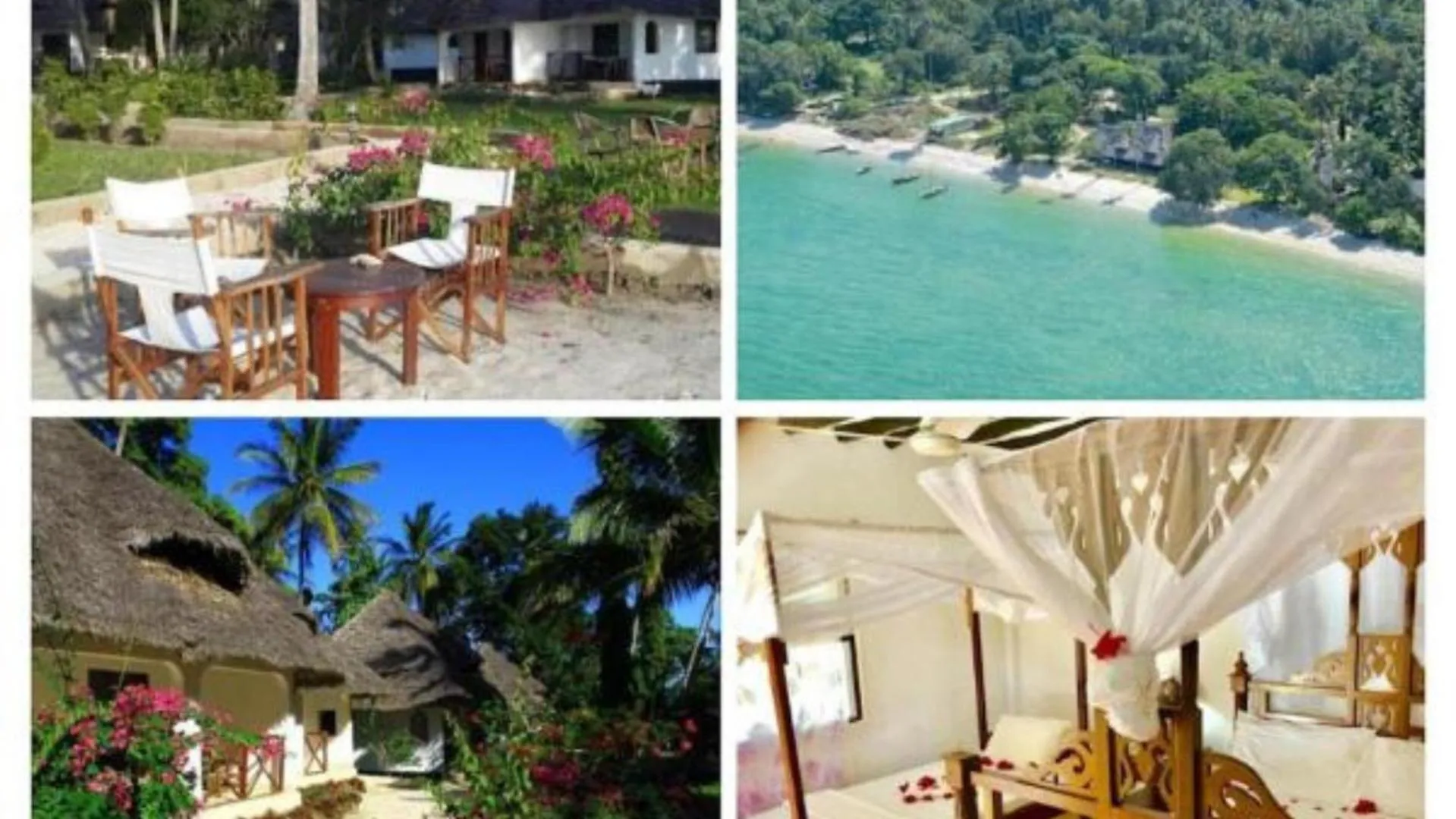 Garden in Menai Bay Beach Bungalows