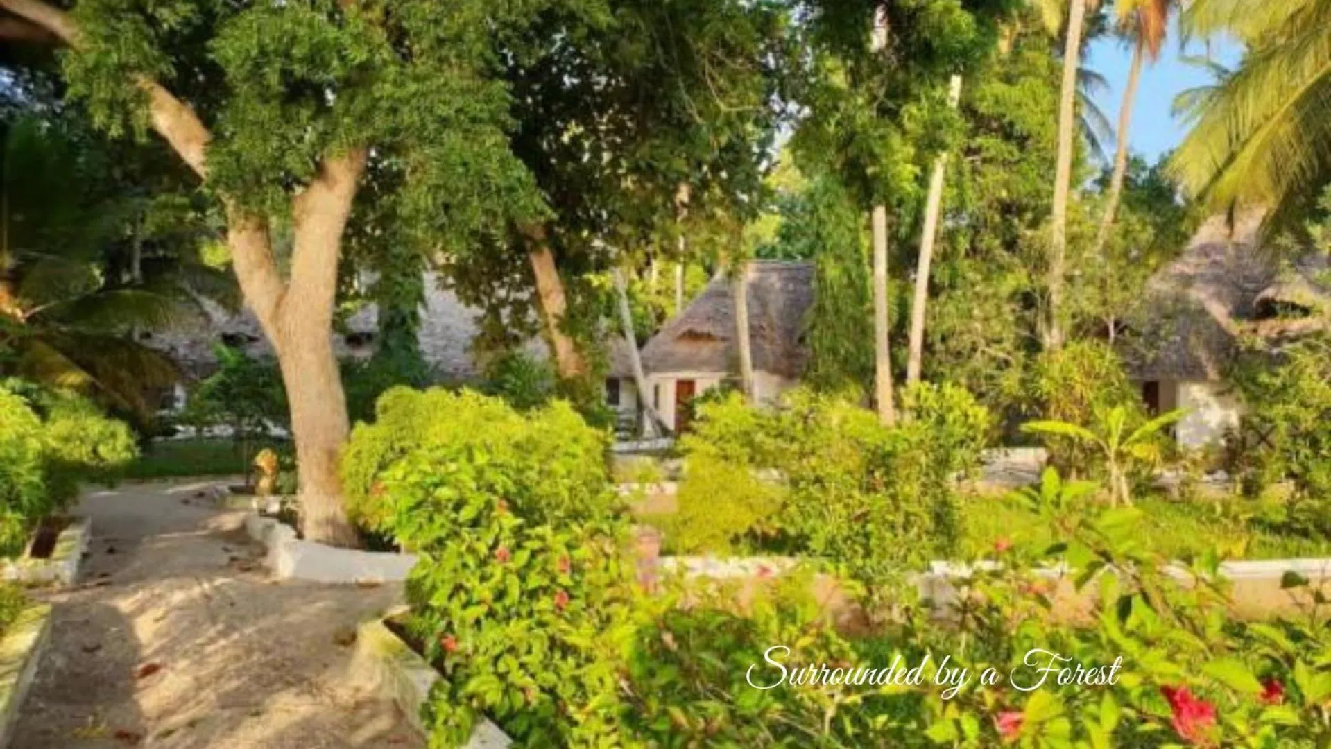 Garden in Menai Bay Beach Bungalows