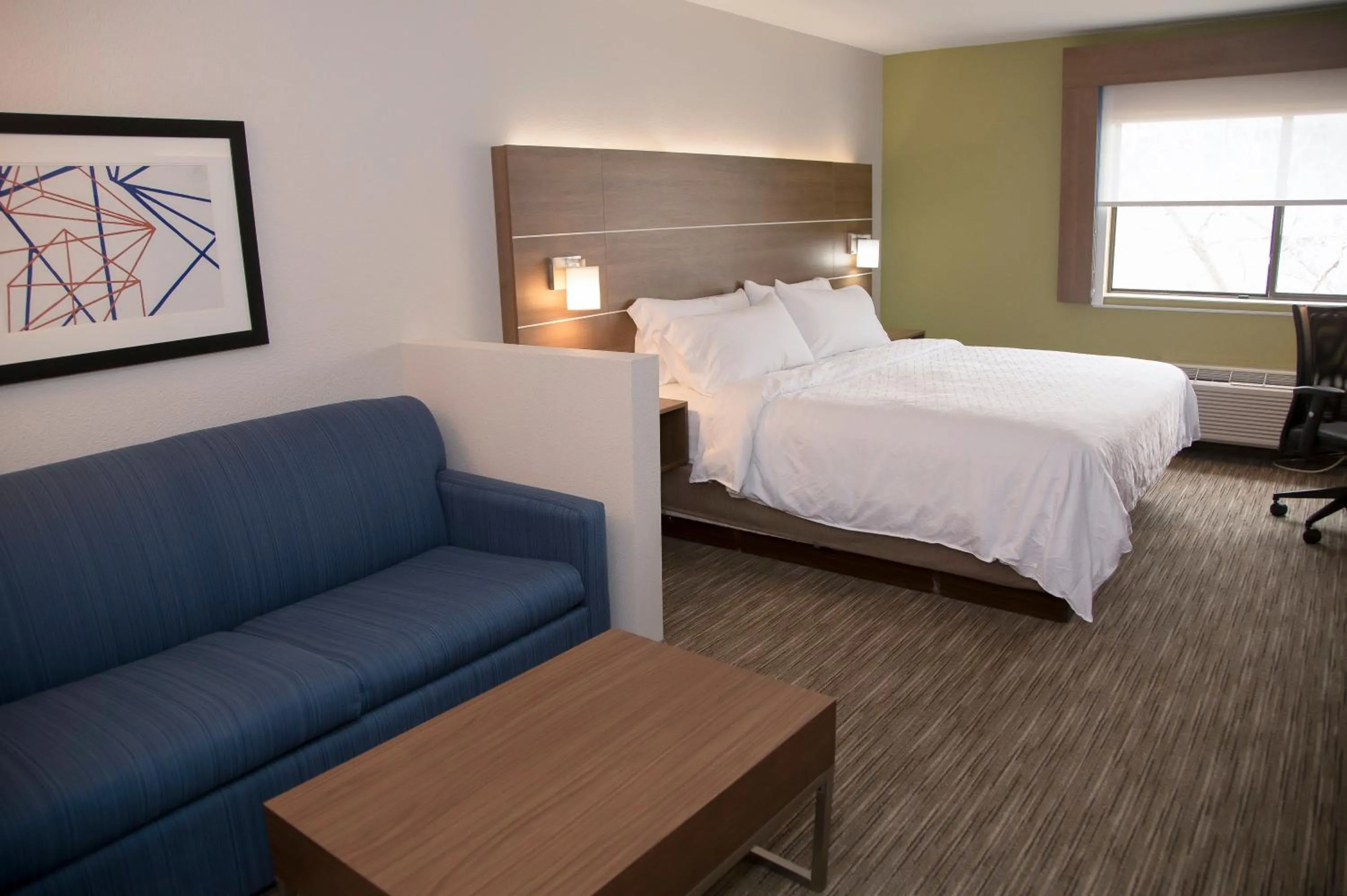 Photo of the whole room in Holiday Inn Express & Suites Colorado Springs North by IHG