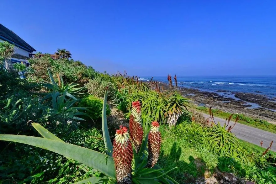 Property building in Casa Seaviews