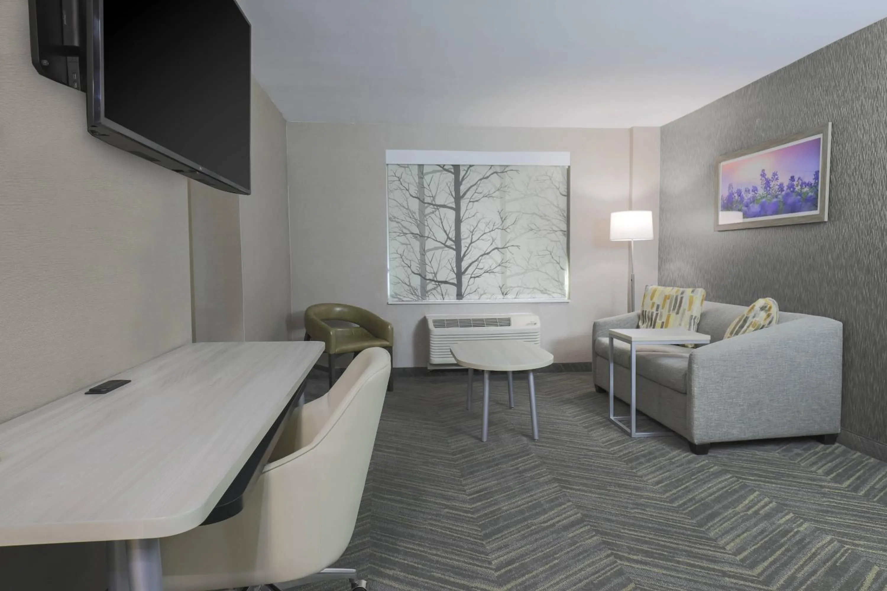 Photo of the whole room in Fairfield by Marriott Inn & Suites Amarillo Central