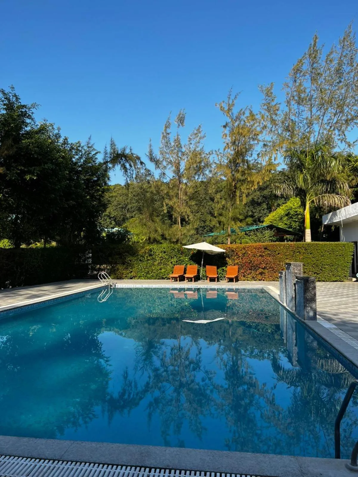 Swimming pool in Winsome Resort & Spa Corbett