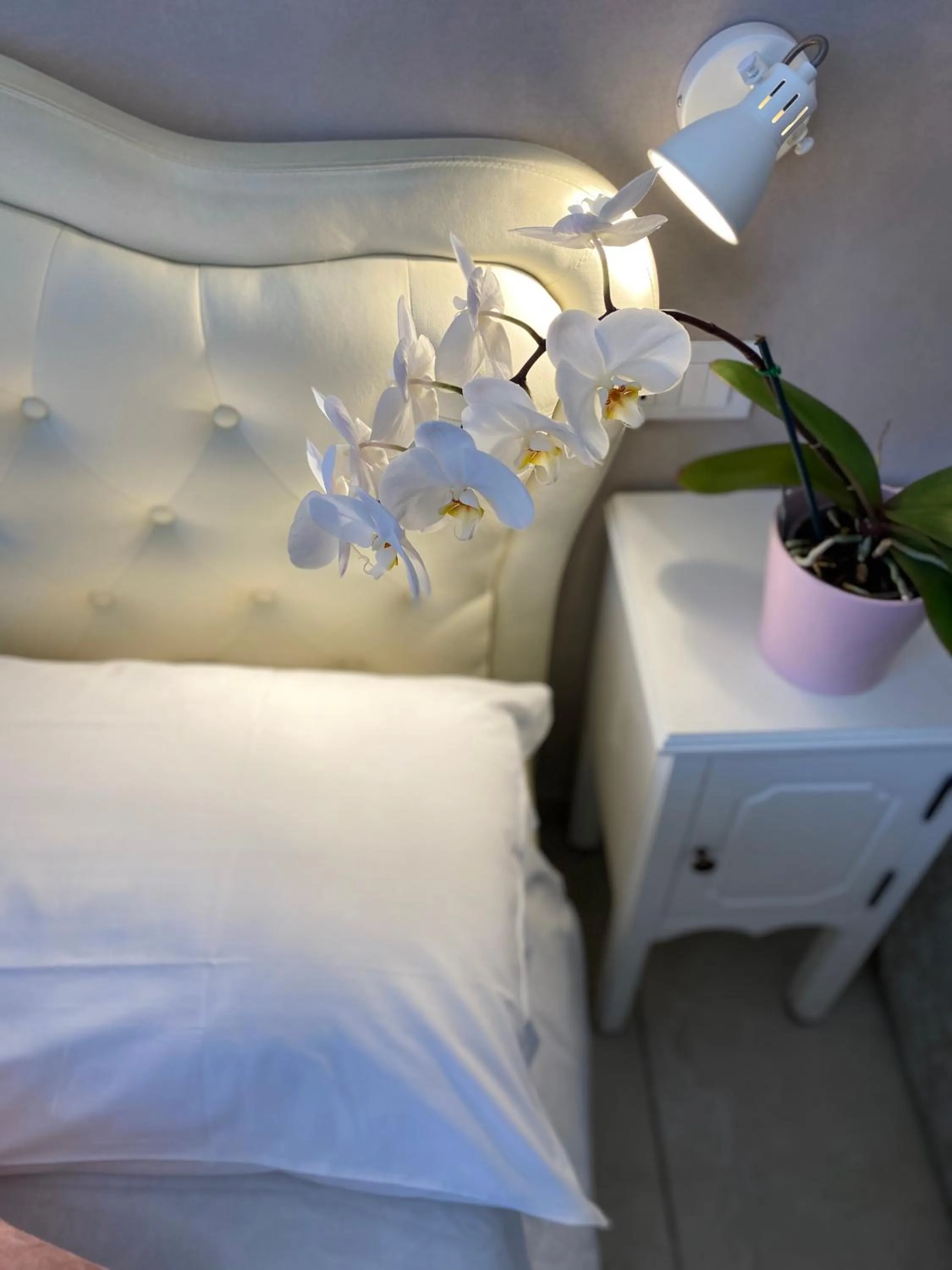 Bed in Domus Valadier B&B Guesthouse