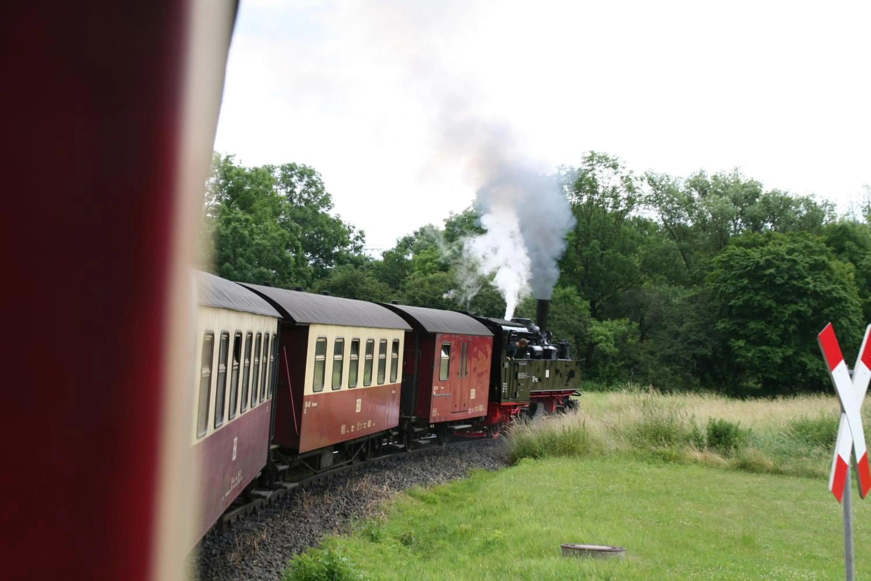 Area and facilities in Hotel Zur Luppbode