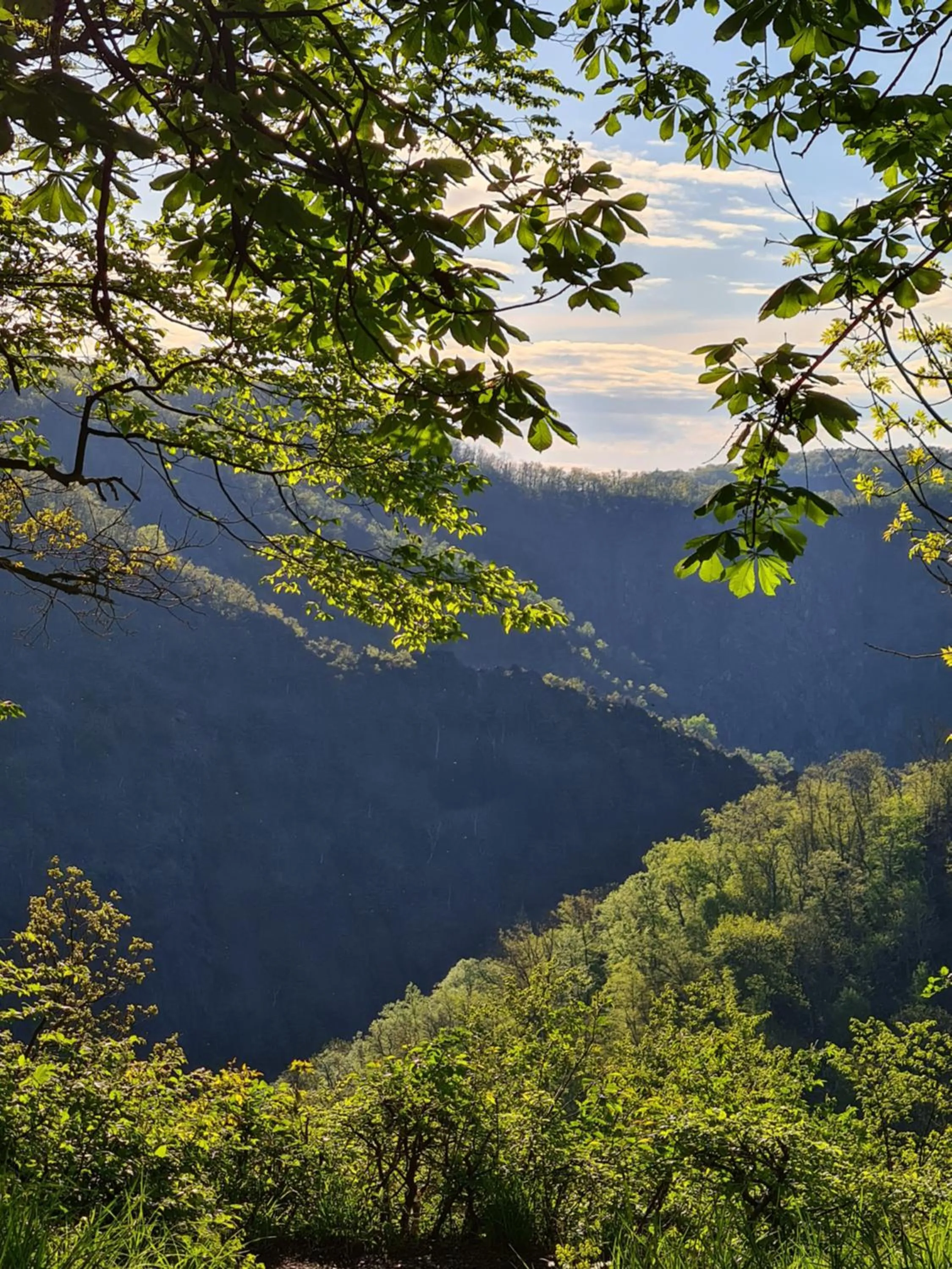 Natural landscape in Hotel Zur Luppbode