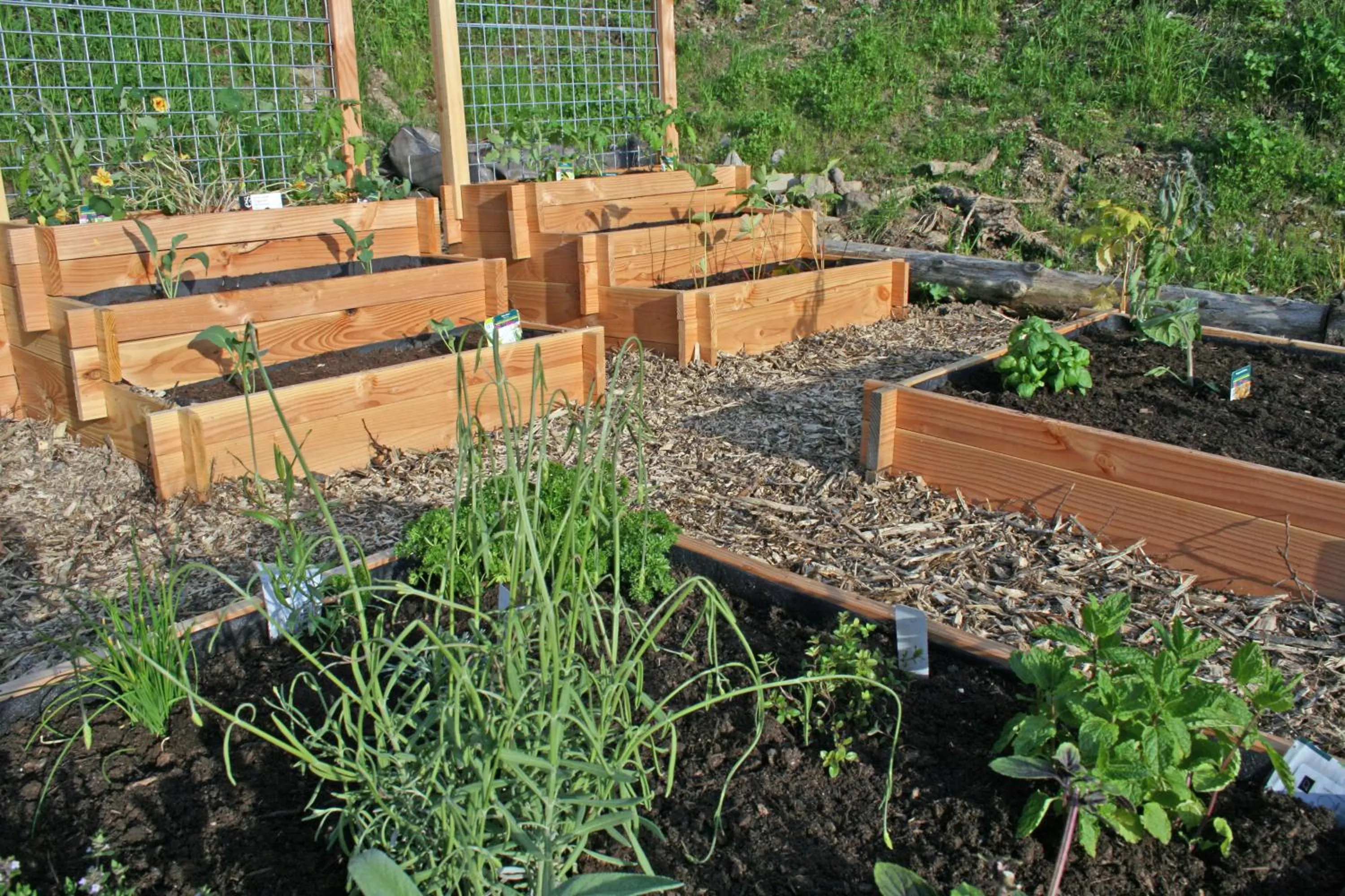 Garden in La Croix de Savoie & Spa