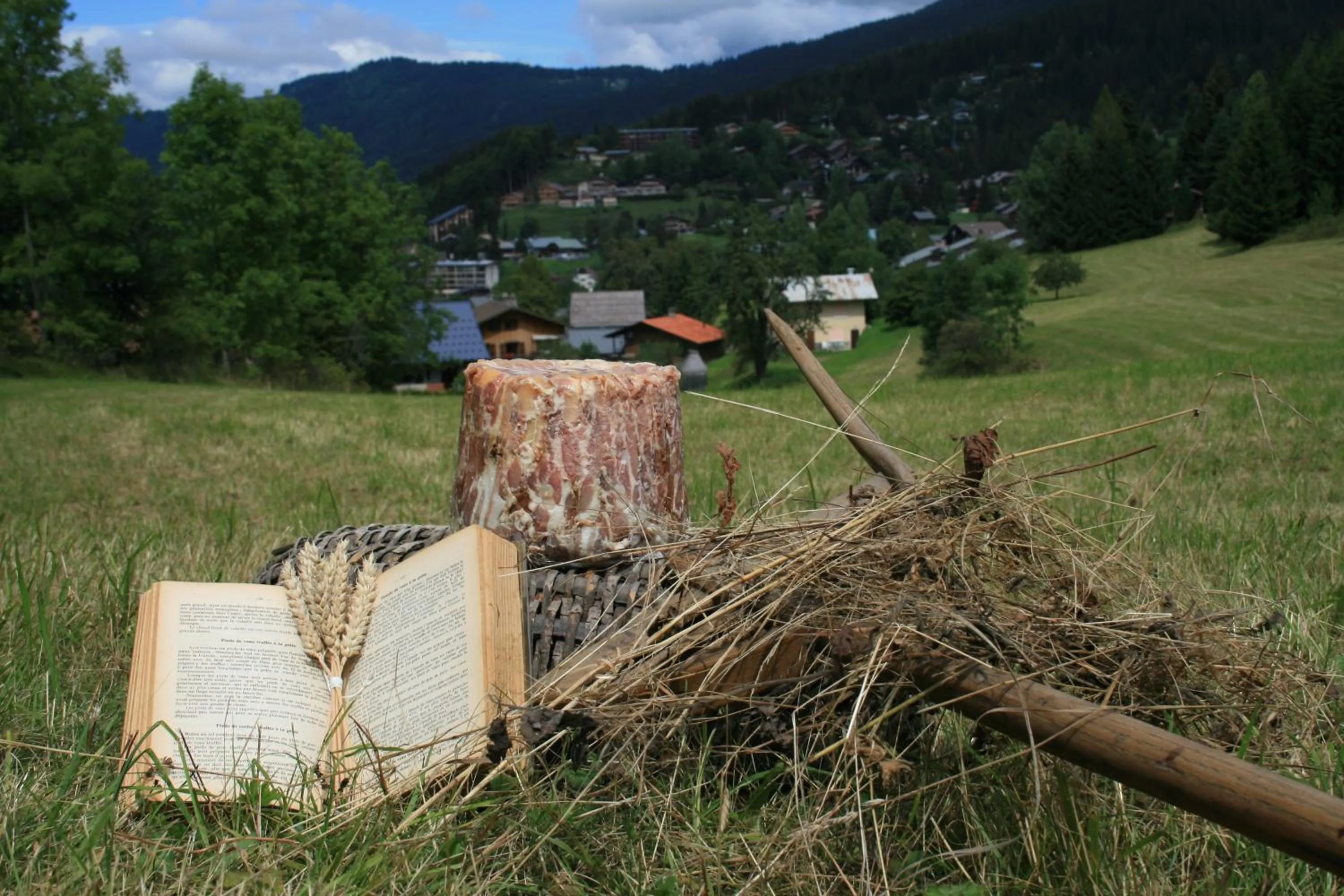 Area and facilities in La Croix de Savoie & Spa