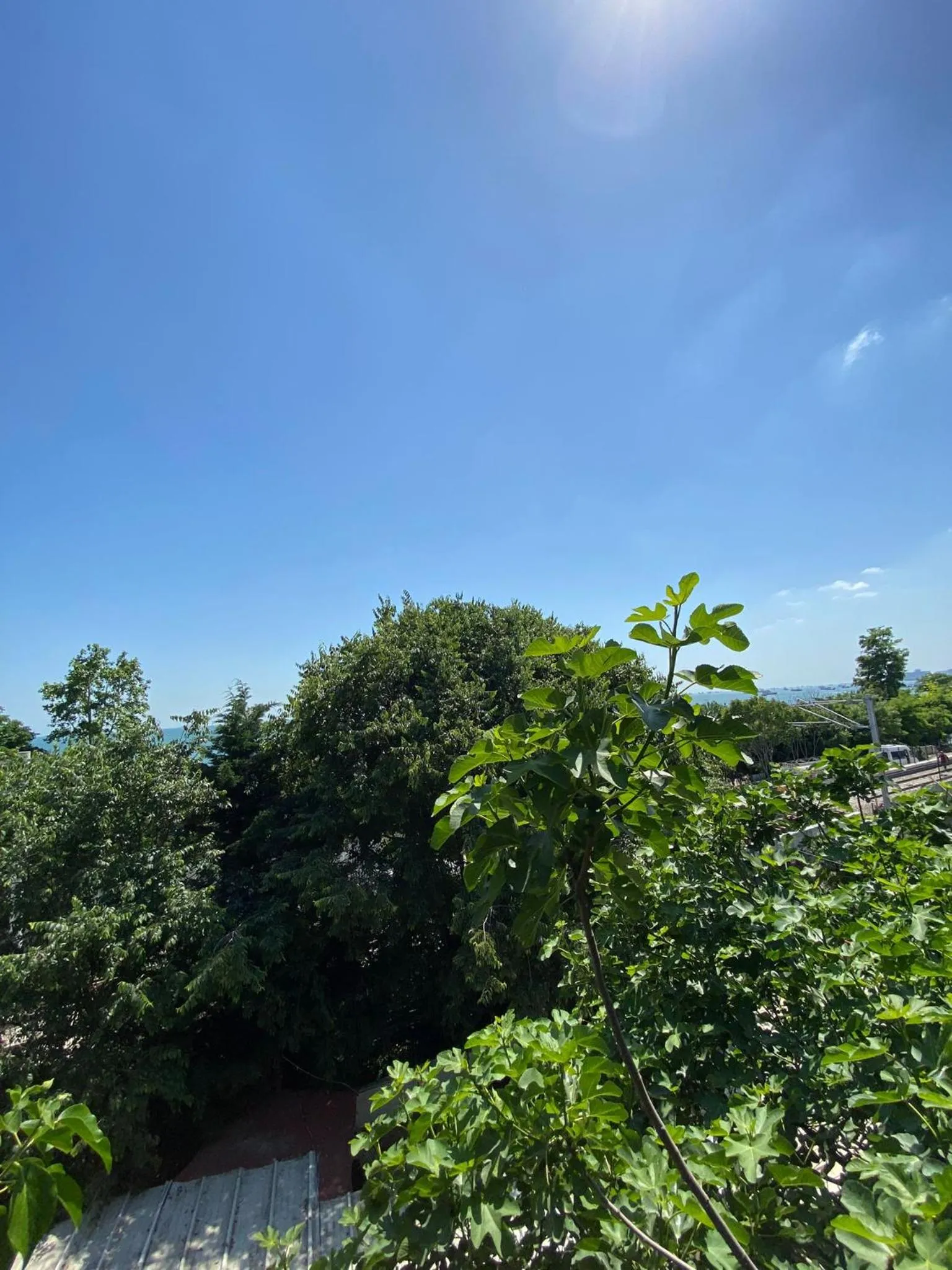 View (from property/room) in İSTA Golden Palace Hotel