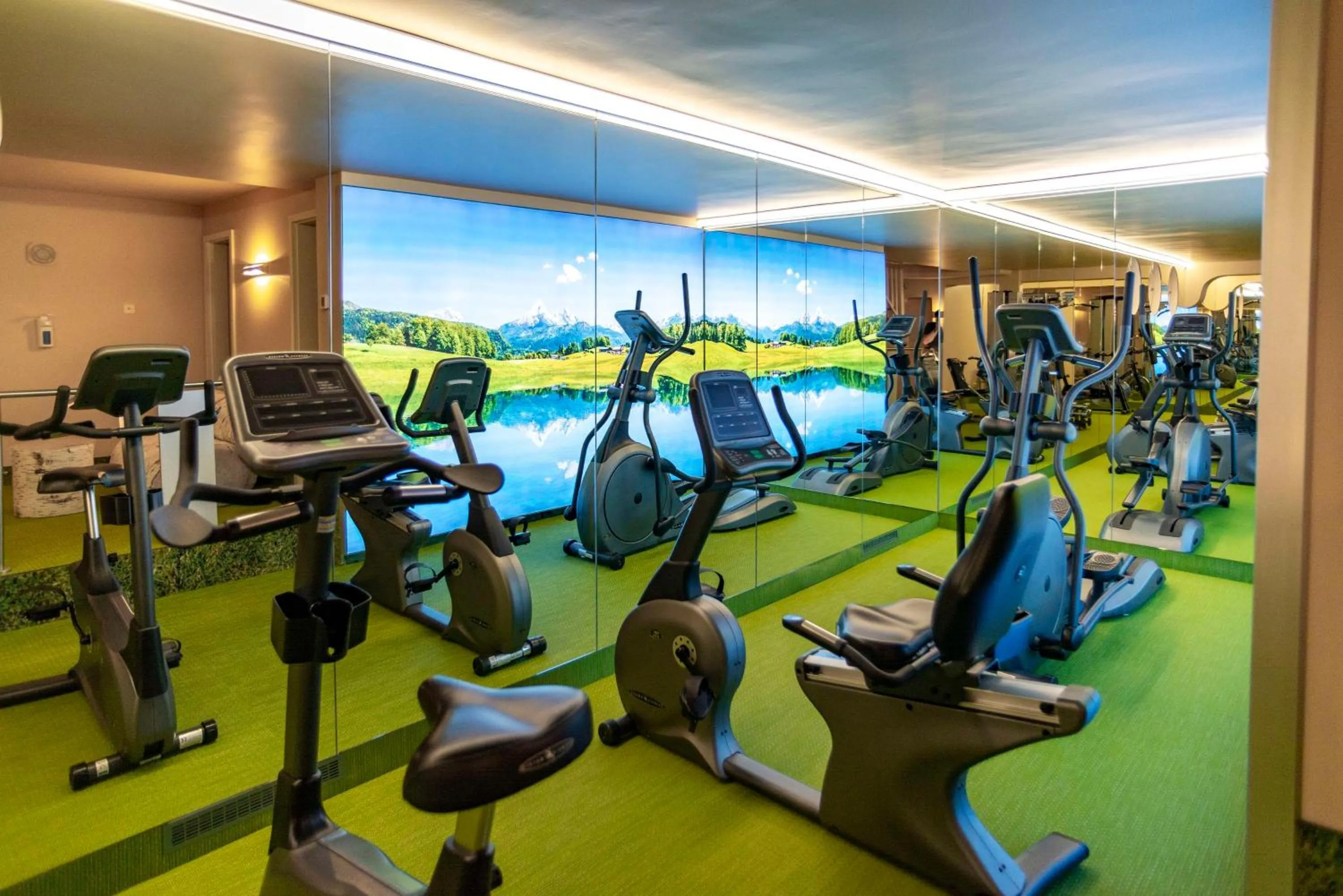 Fitness centre/facilities in Hotel Schindlerhof