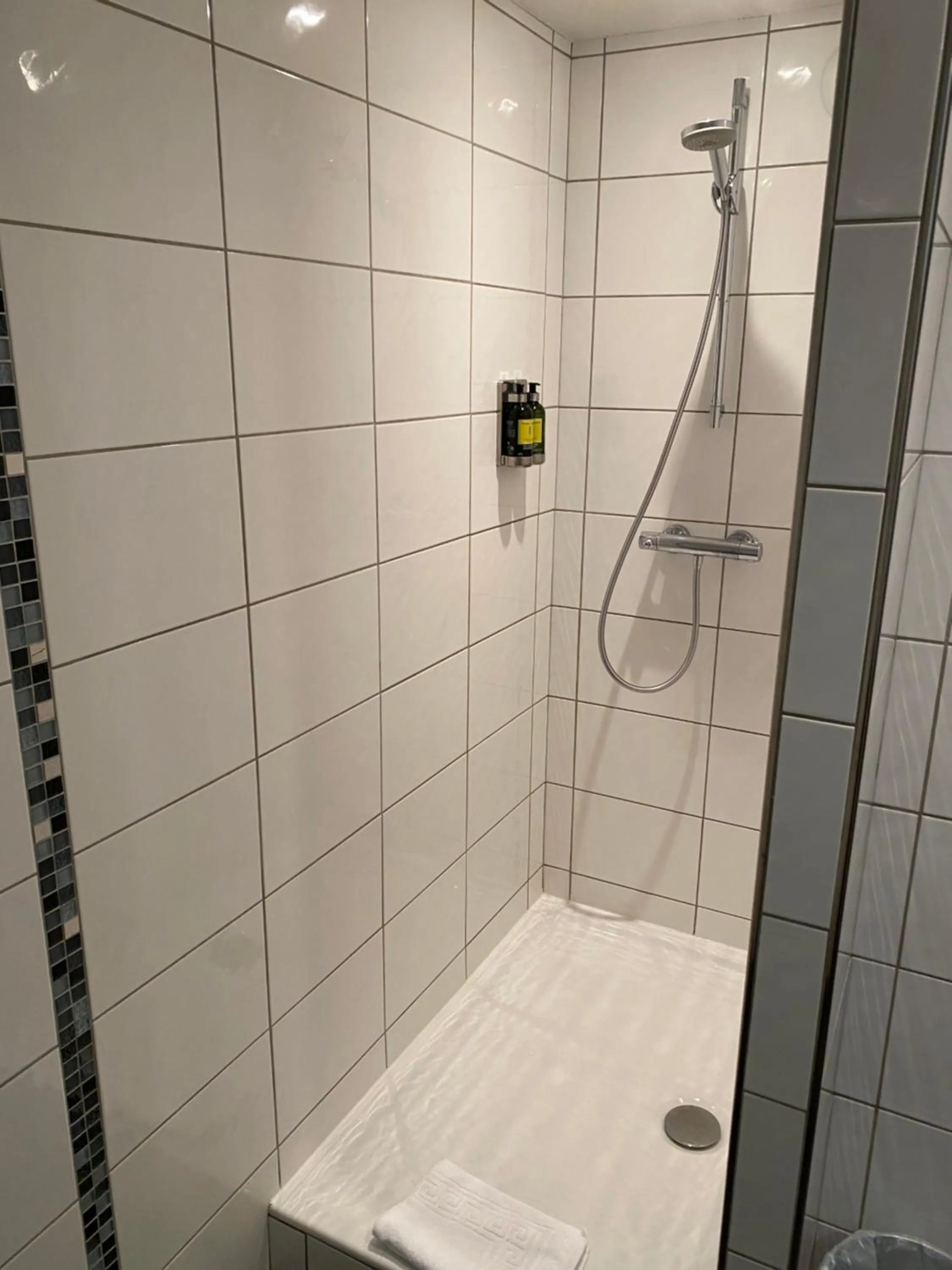 Shower in Auberge de Savoie