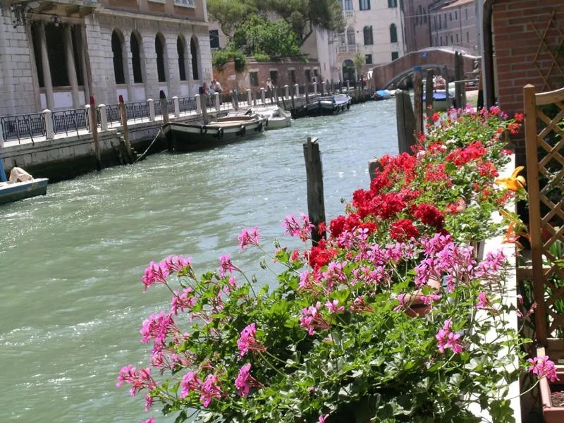 View (from property/room) in B&B Casa in Laguna