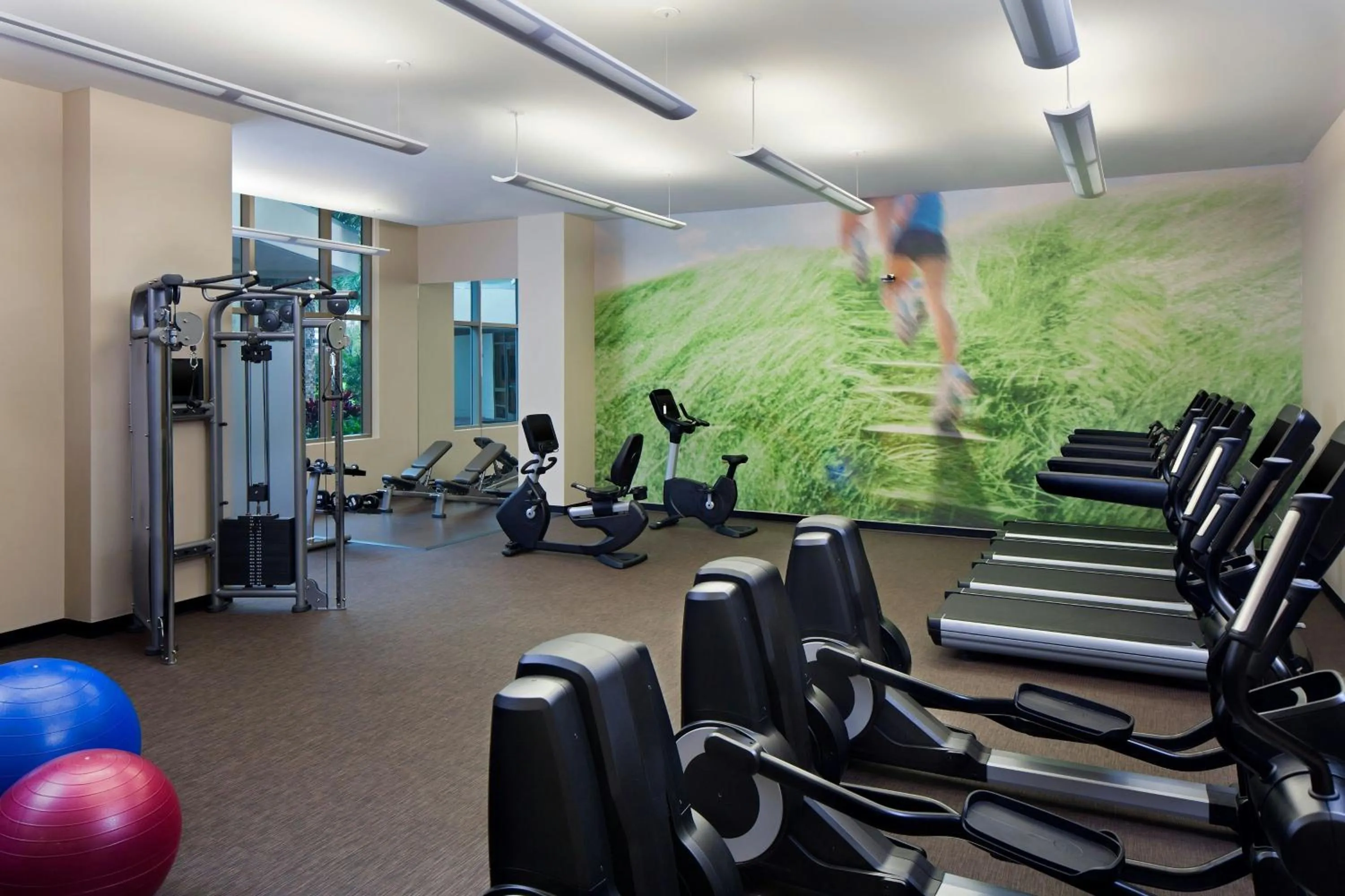 Fitness centre/facilities in The Westin Tampa Bay