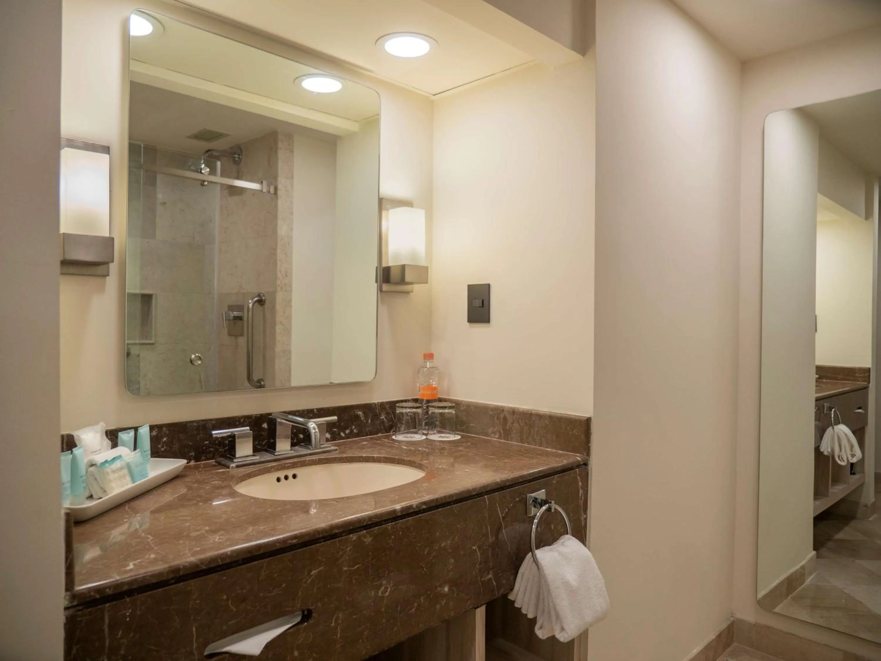 Bathroom in MS Milenium Monterrey Curio Collection by Hilton