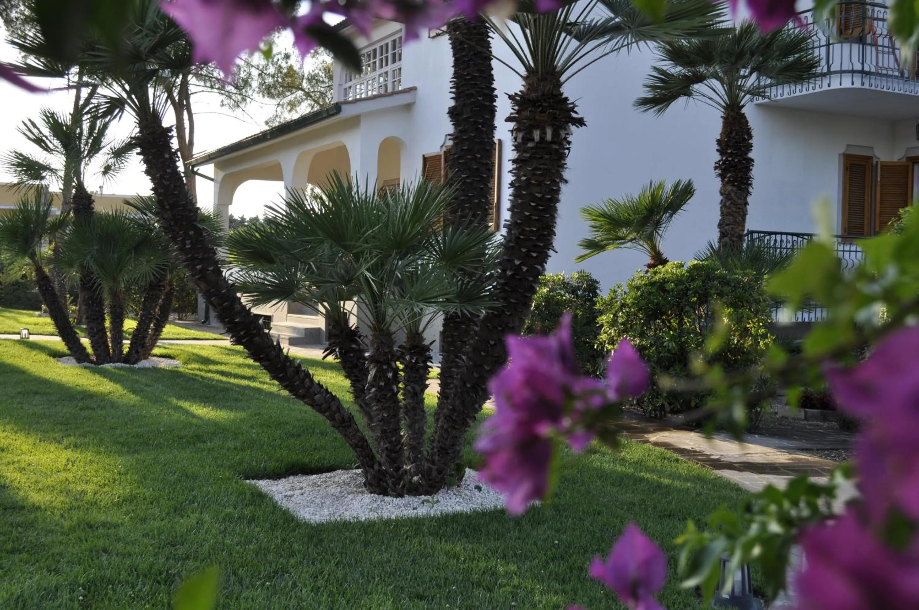 Garden in Le Duchesse