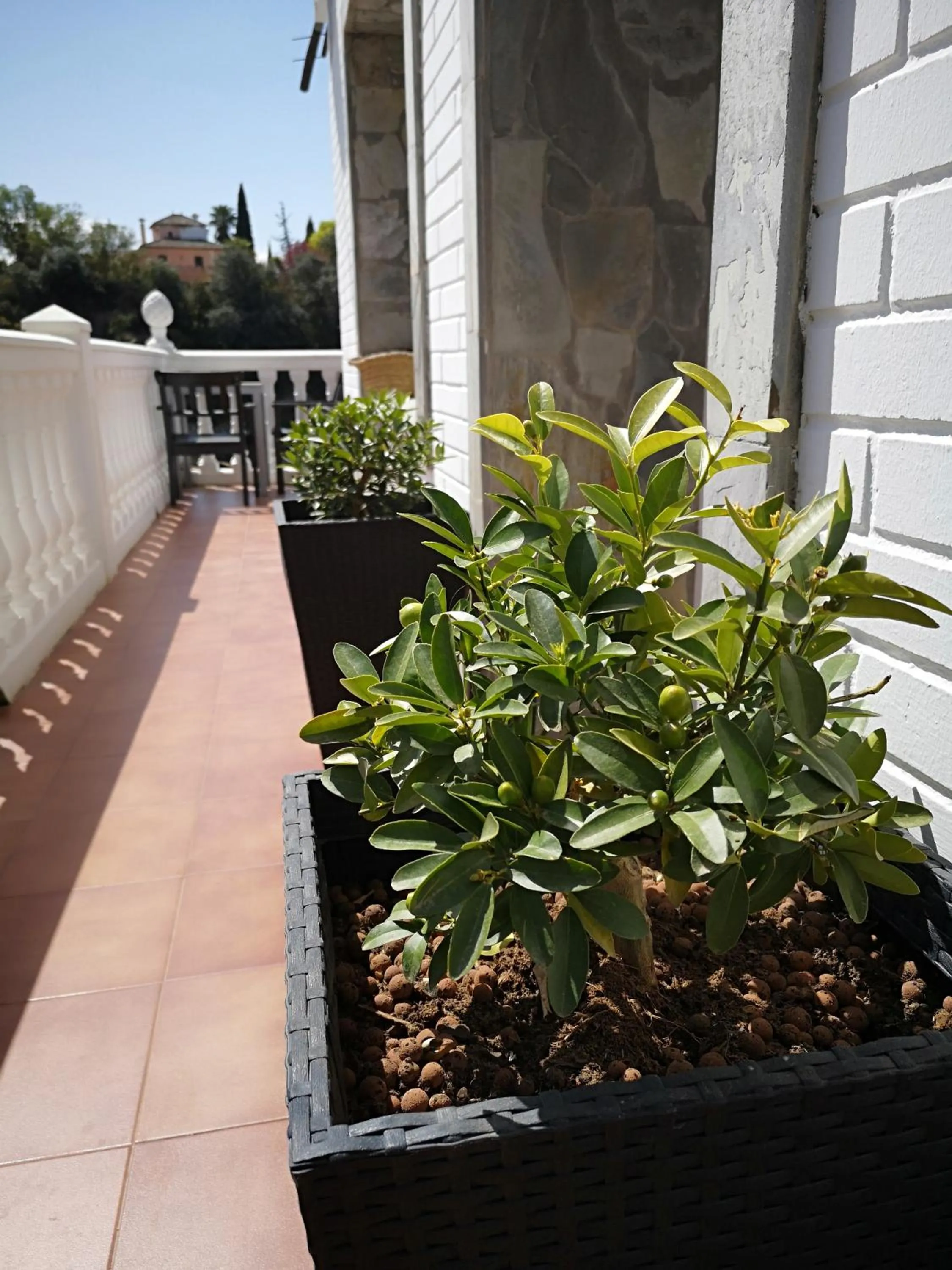 Garden in Villa Ignacia B&B - Naturaleza entre Ronda & Setenil