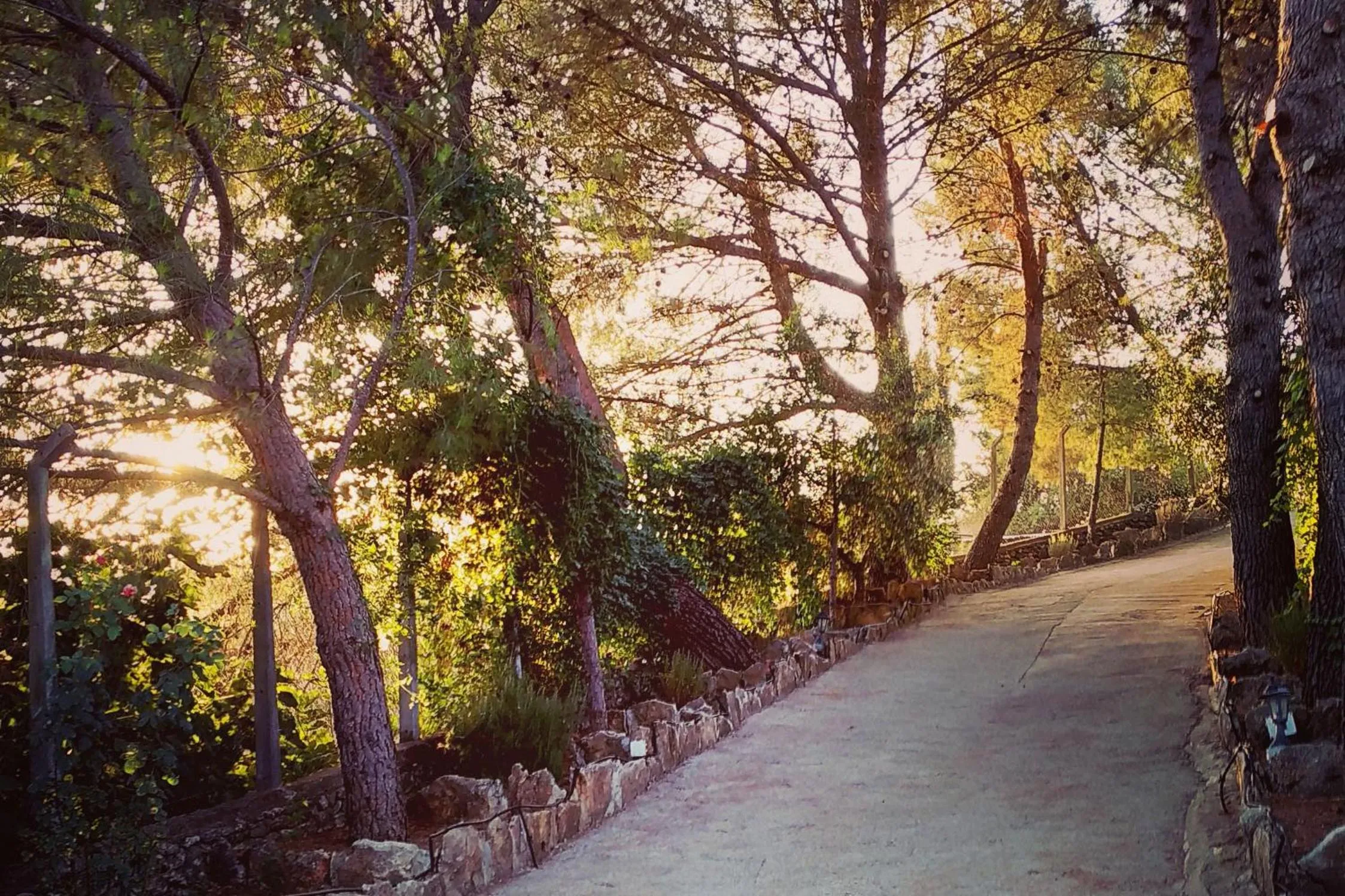 Natural landscape in Villa Ignacia B&B - Naturaleza entre Ronda & Setenil