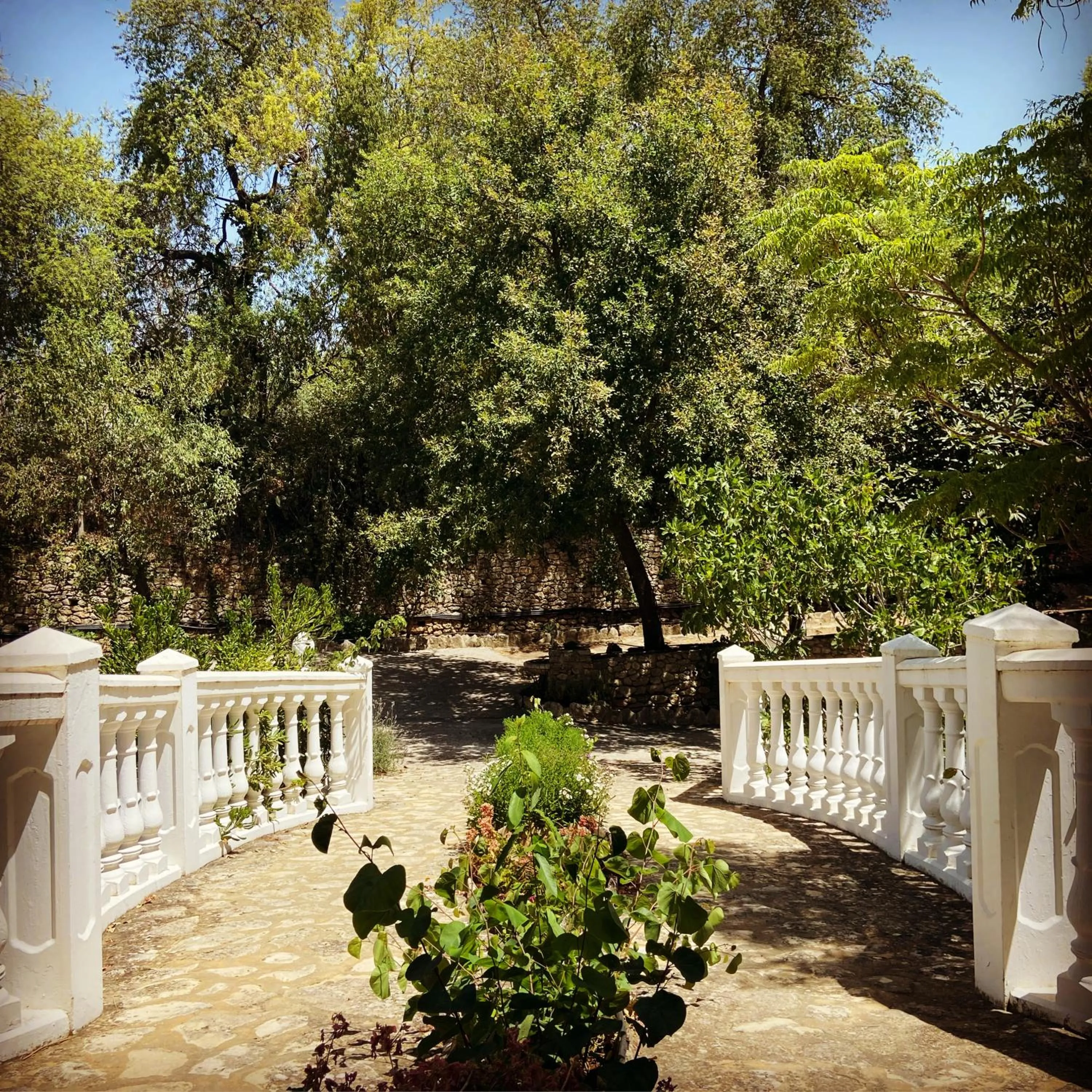 Garden in Villa Ignacia B&B - Naturaleza entre Ronda & Setenil