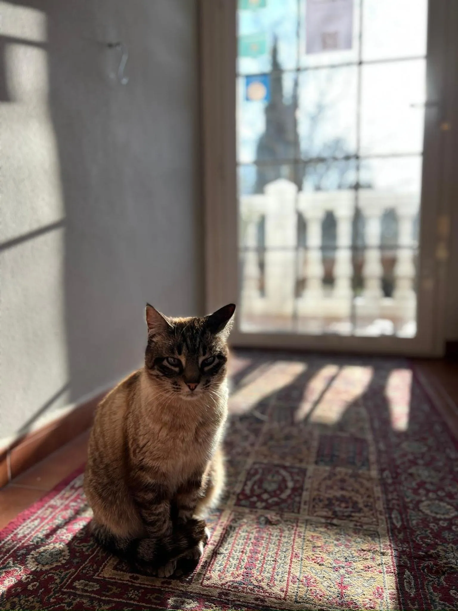 Villa Ignacia B&B - Naturaleza entre Ronda & Setenil