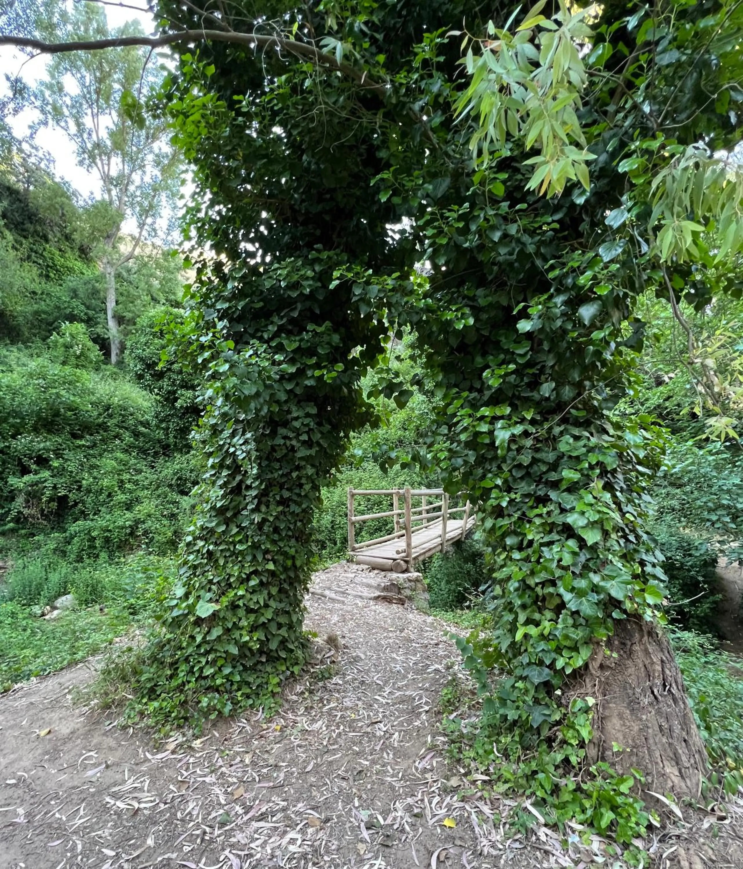 Villa Ignacia B&B - Naturaleza entre Ronda & Setenil