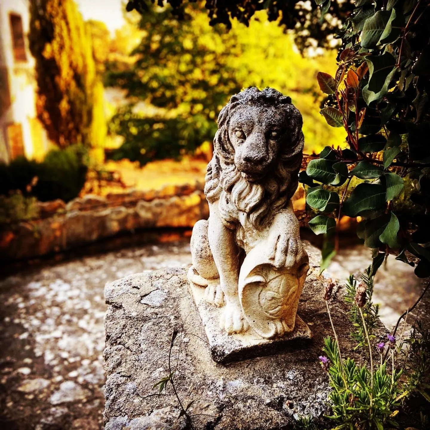 Garden in Villa Ignacia B&B - Naturaleza entre Ronda & Setenil