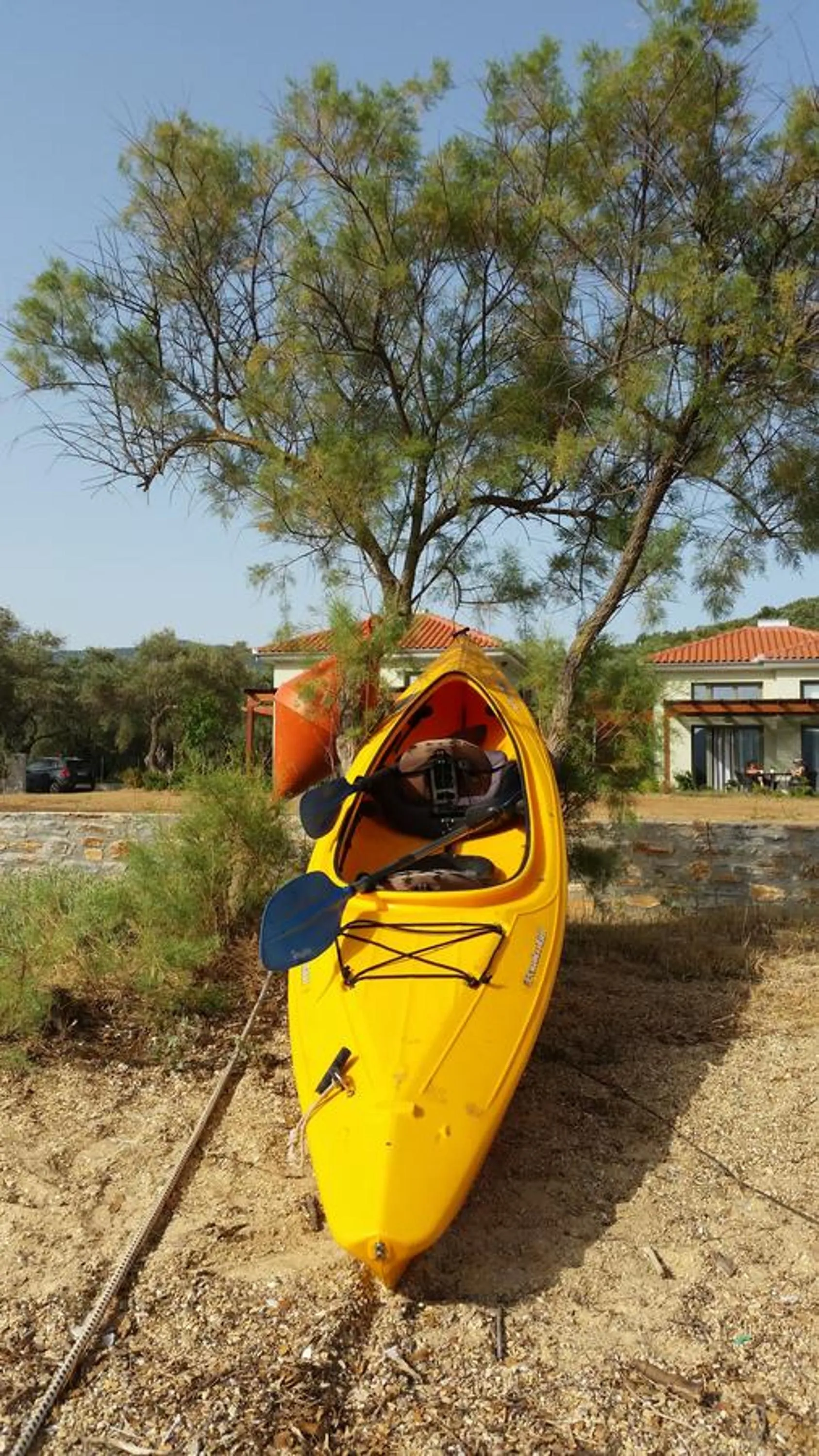 Canoeing in Thea Houses