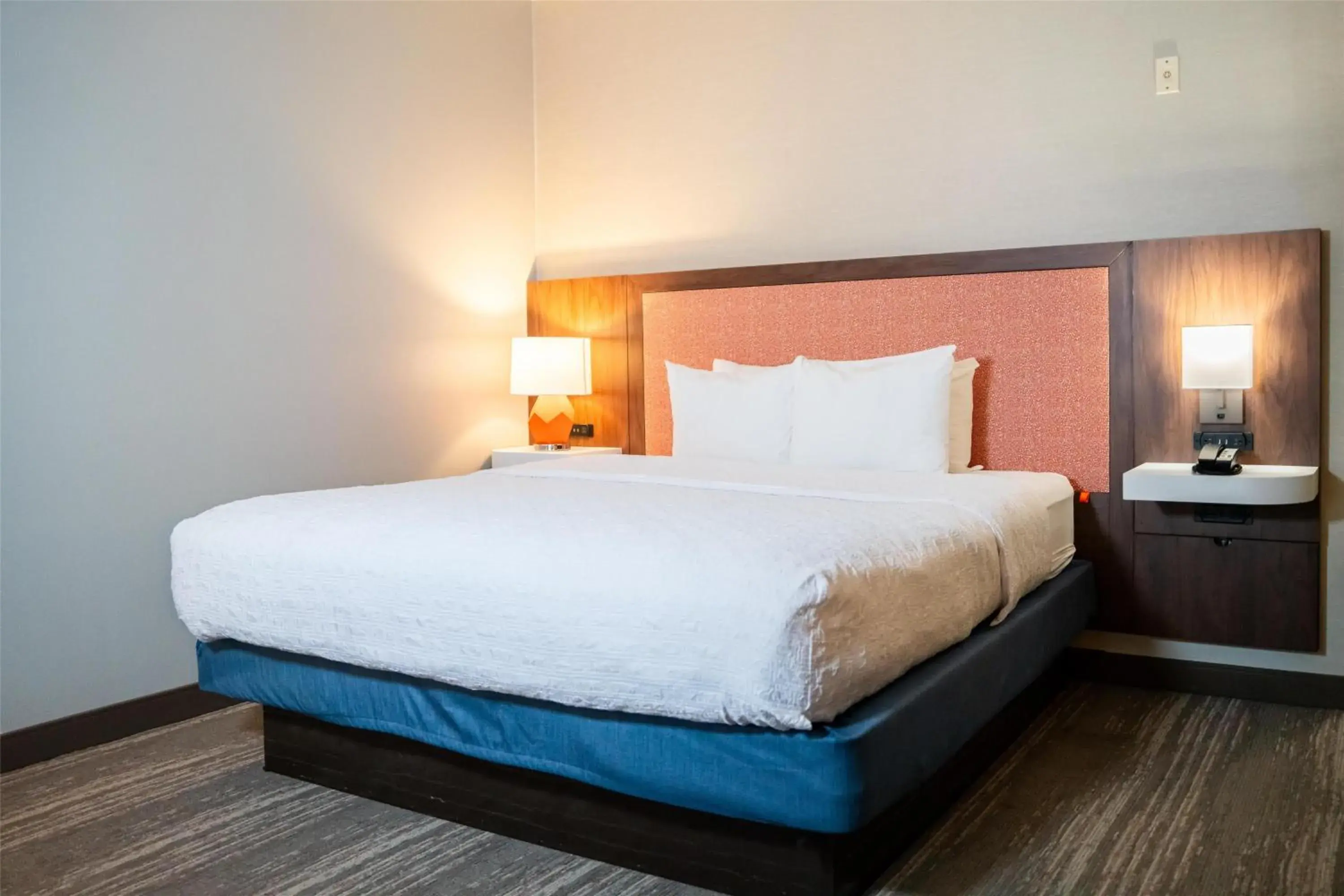 King Room with King Bed - Non-Smoking in Hampton Inn Gonzales King Room with King Bed - Non-Smoking in Hampton Inn Gonzales