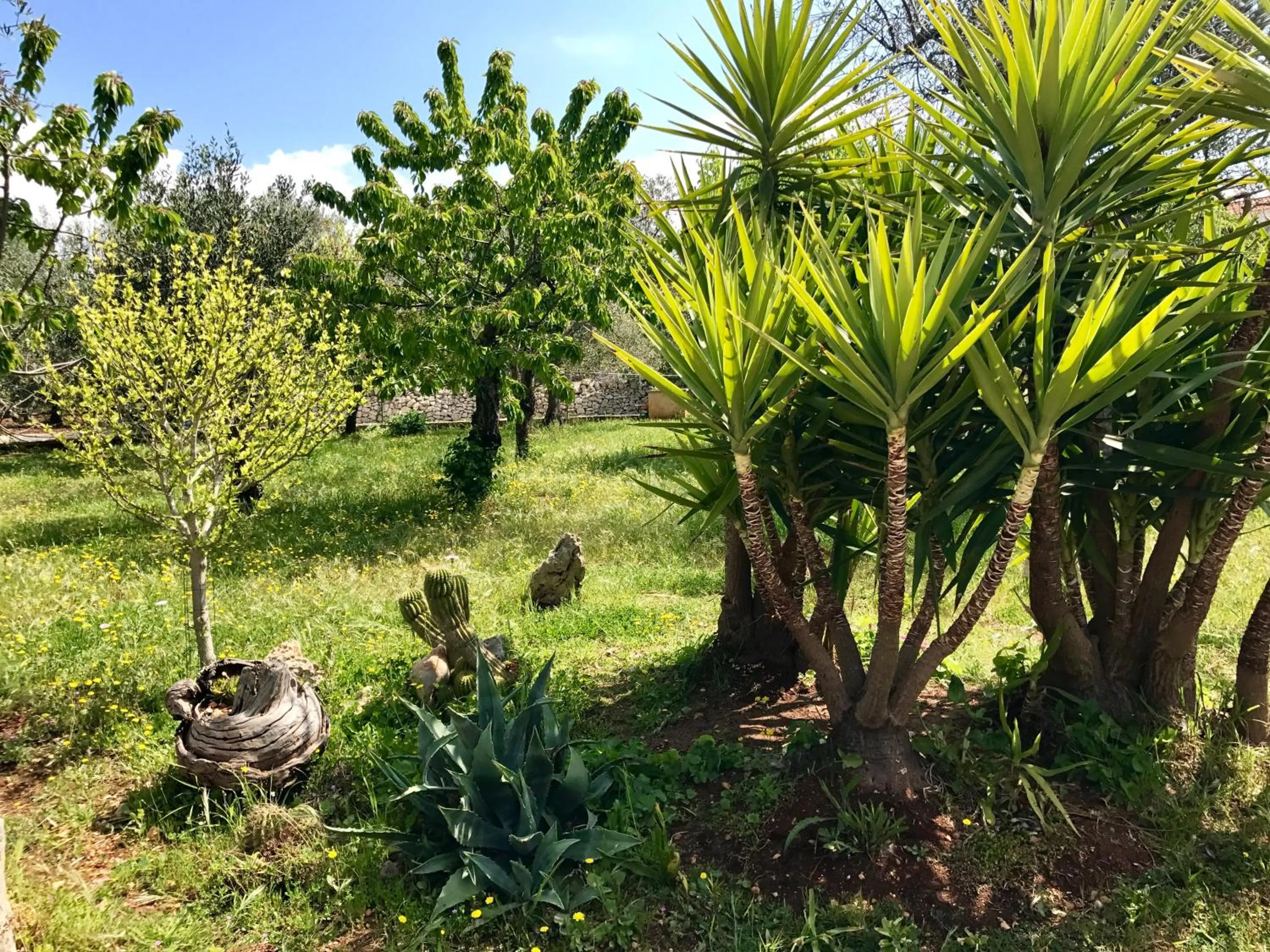 Garden in Il Trullo di Giulietta
