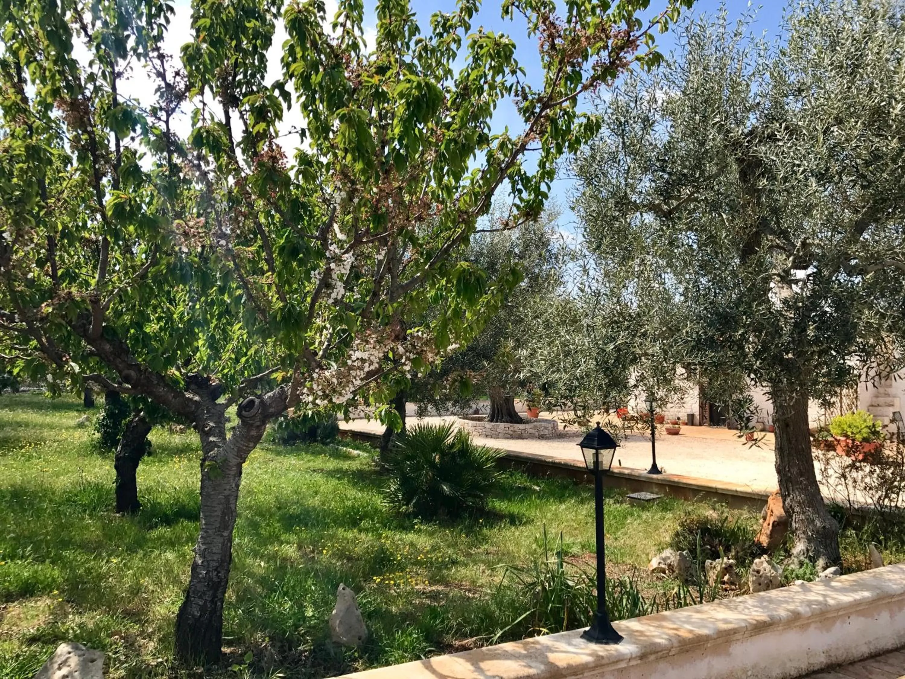 Garden in Il Trullo di Giulietta