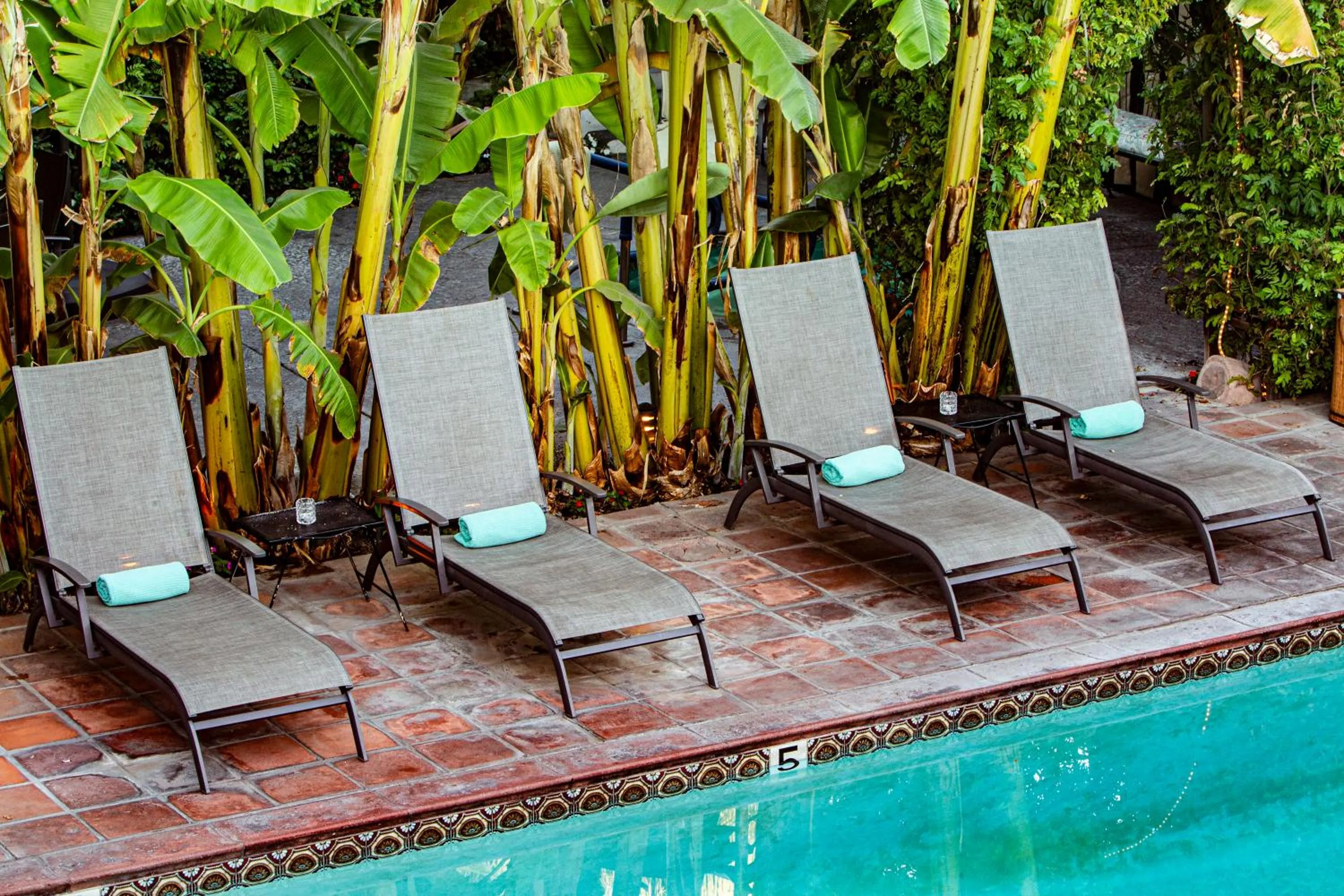 sunbed in Hotel California