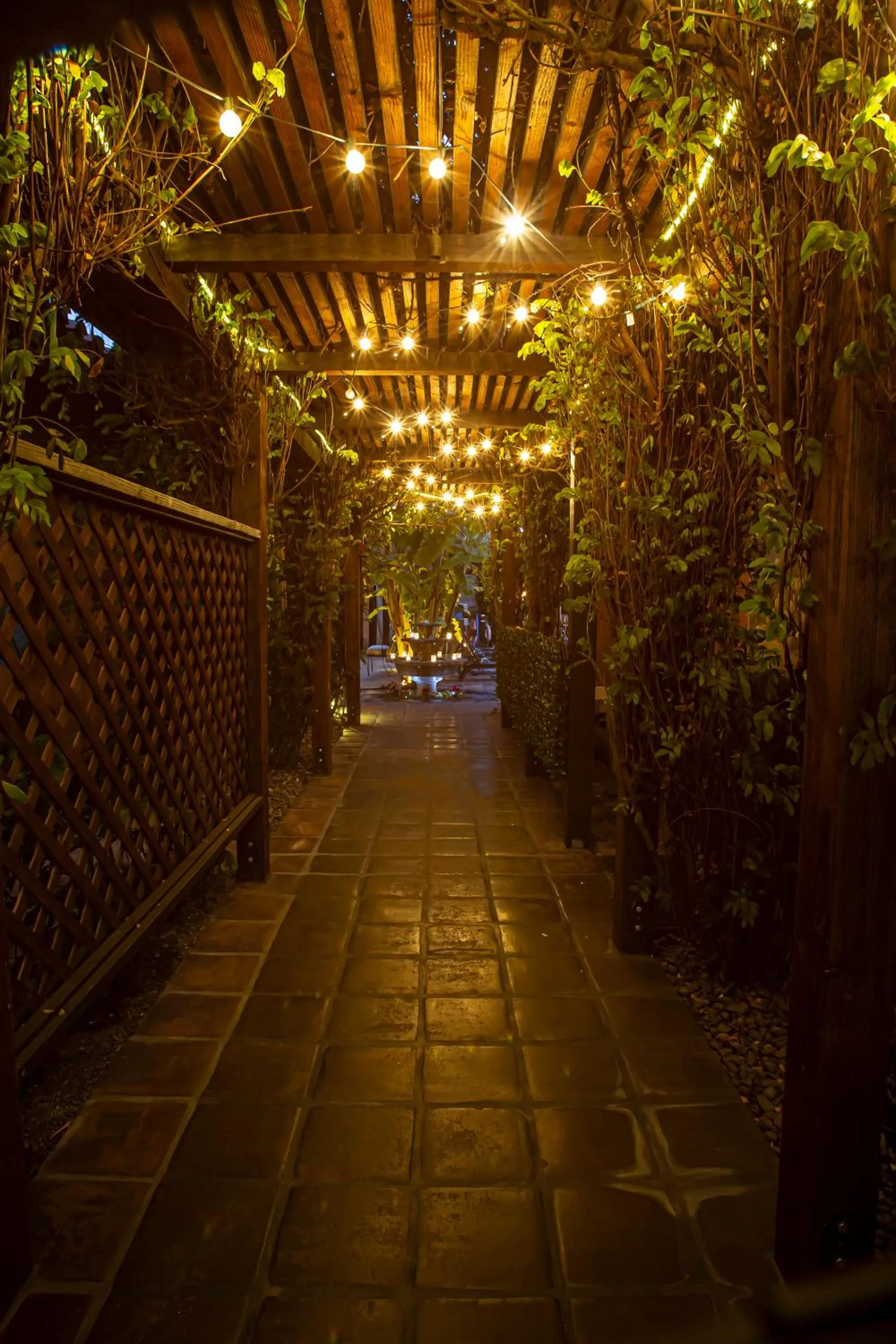 Night in Hotel California