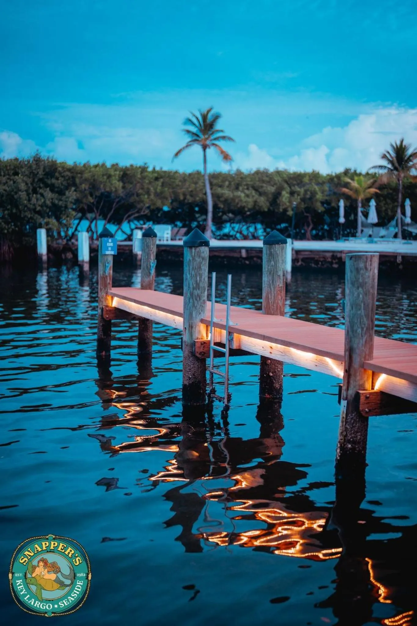 Natural landscape in Snappers Key Largo