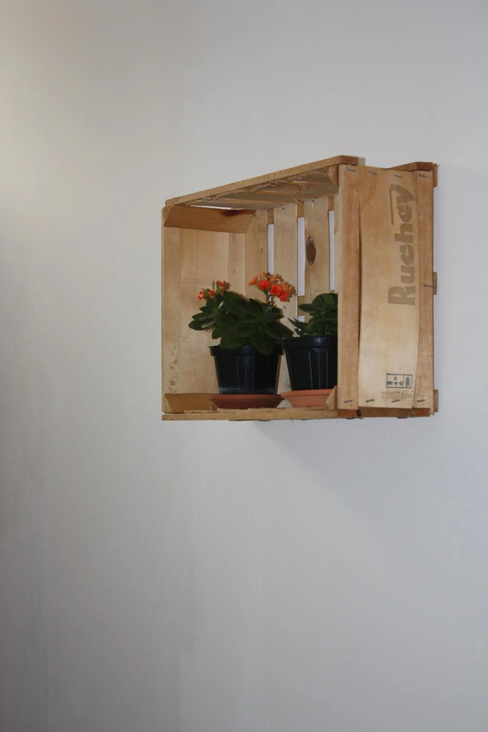 Decorative detail in La Macchia