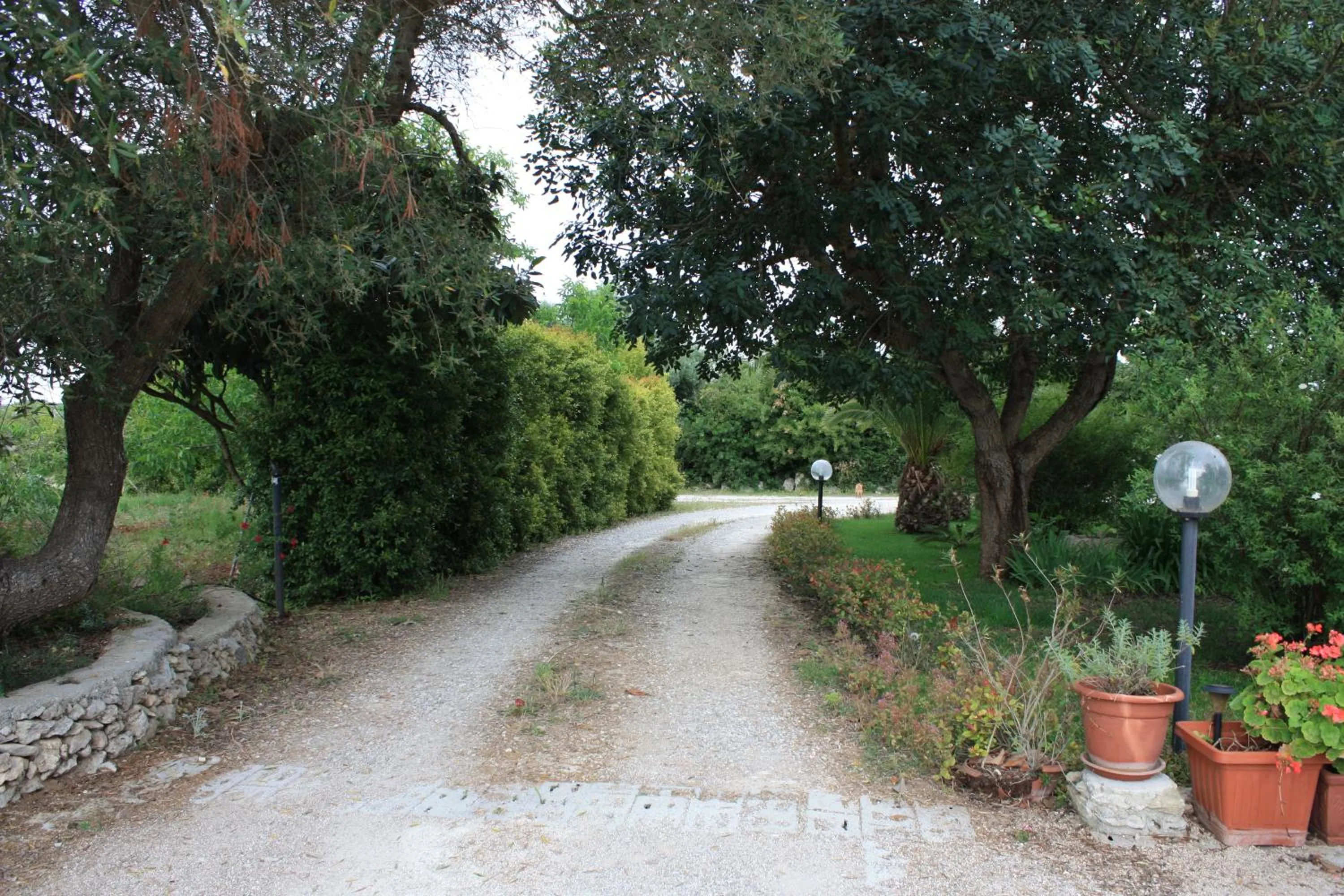 Street view in La Macchia