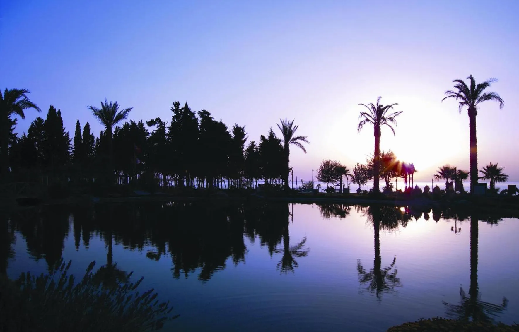 Other in Rox Resort Hotel