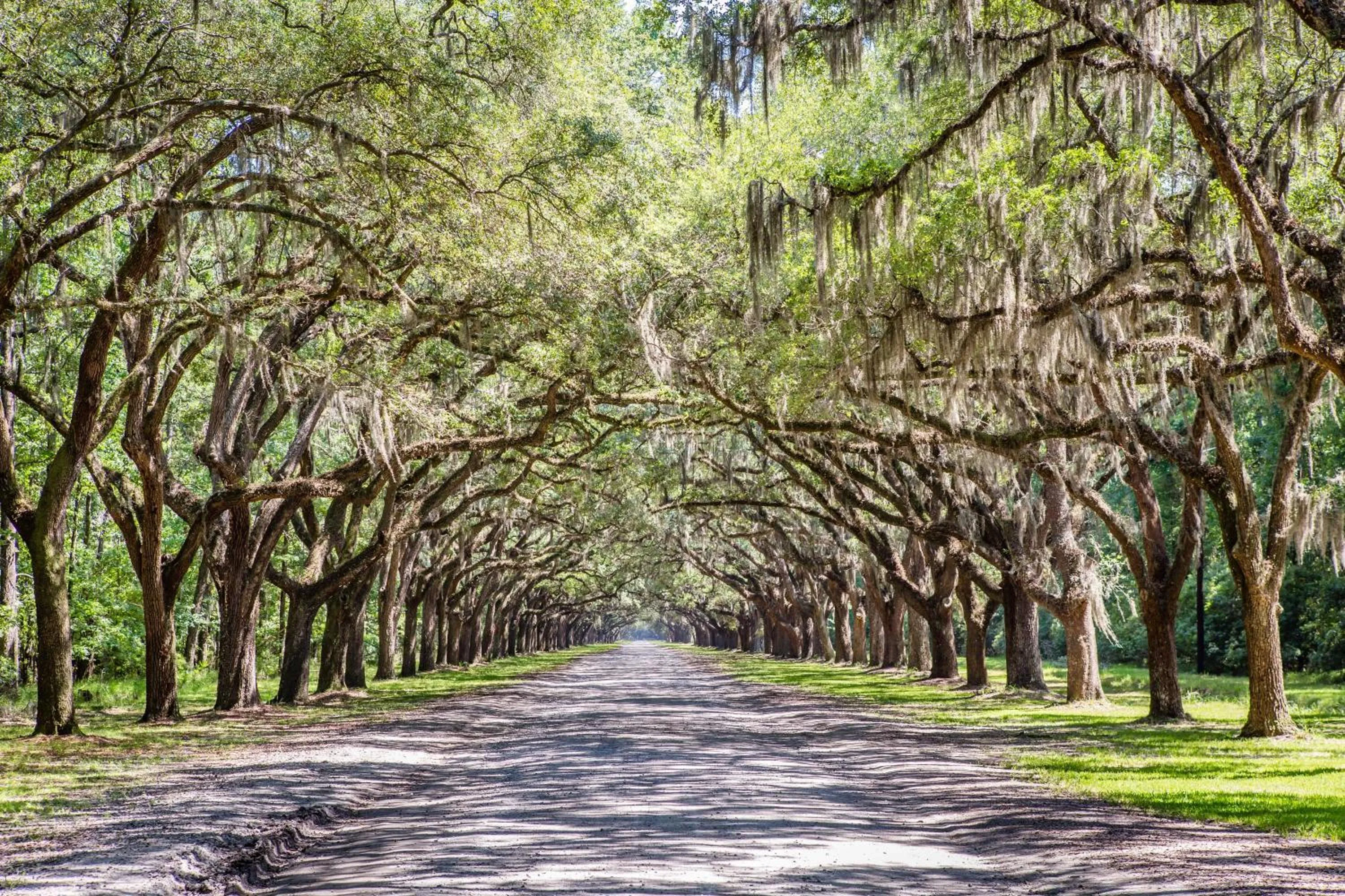 Area and facilities in Holiday Inn Savannah Historic District by IHG