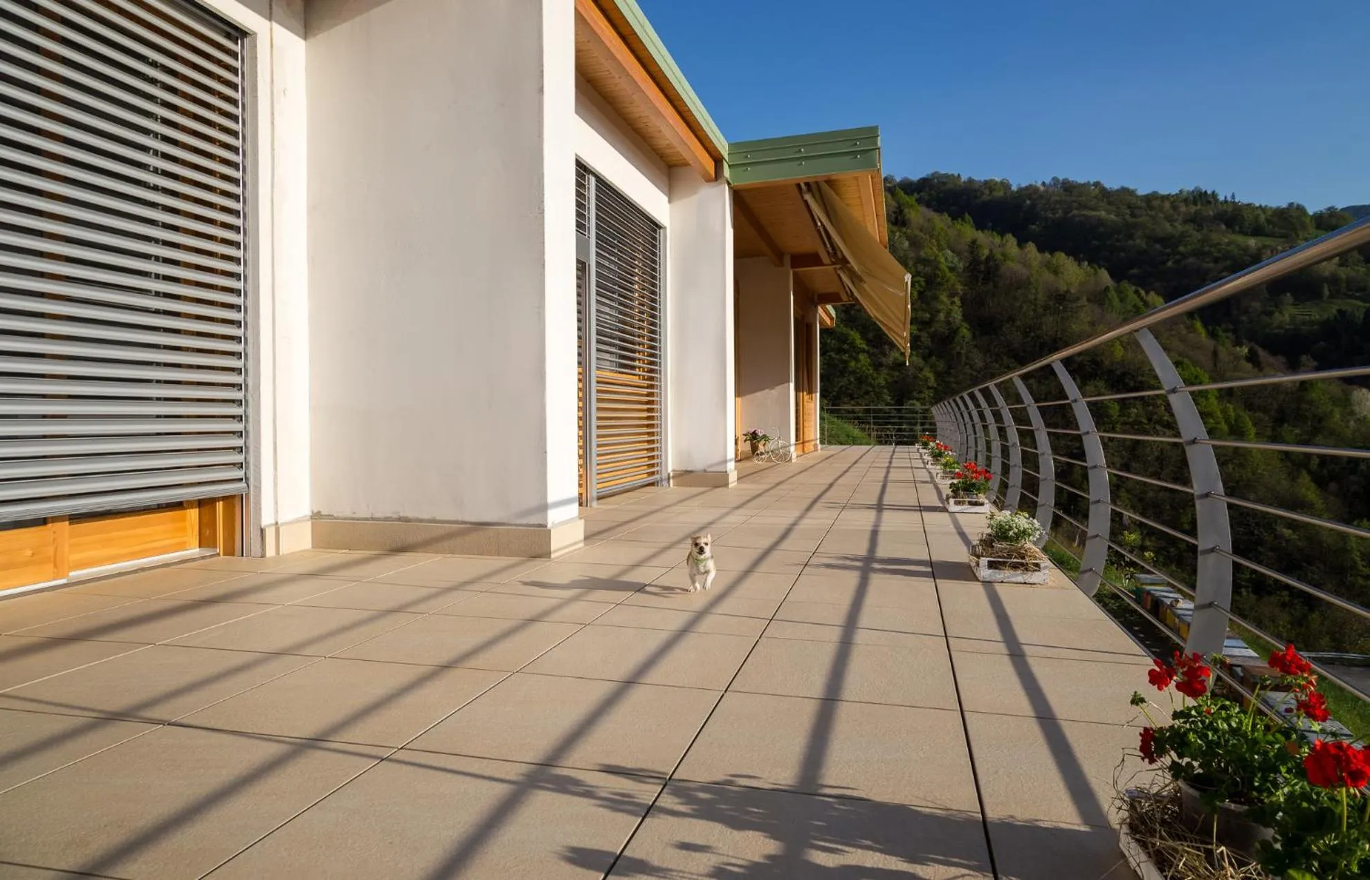 Agriturismo Alveare sul lago