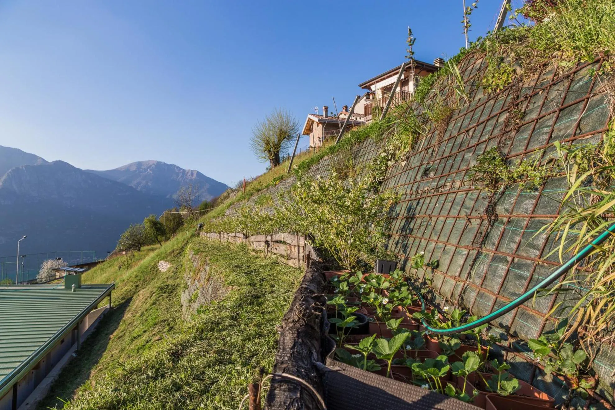 Agriturismo Alveare sul lago