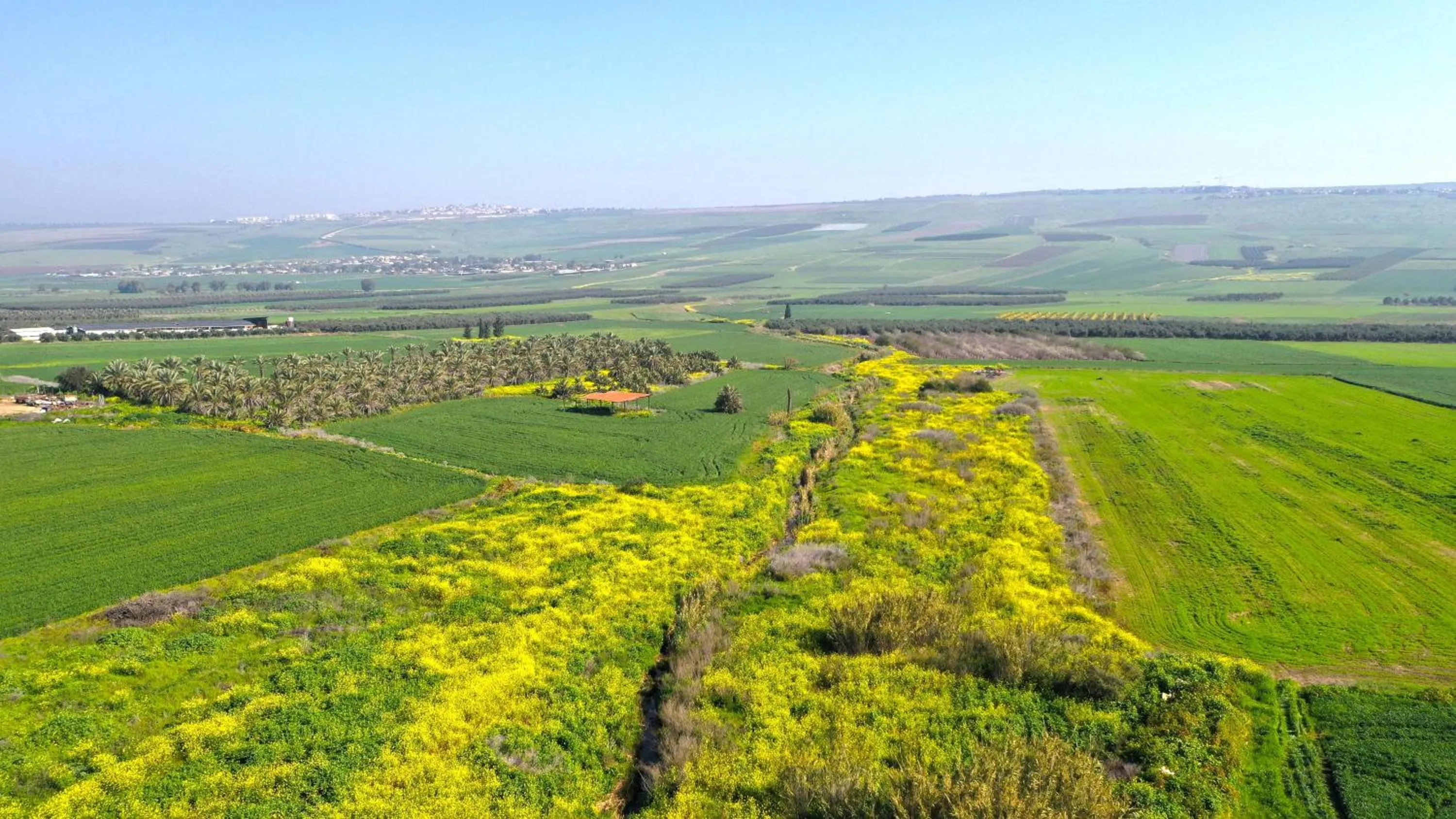 Natural landscape in Zimmer BaSadot