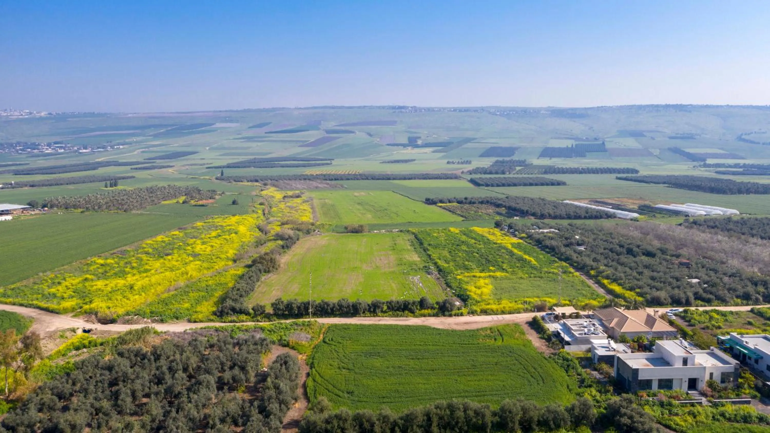 Natural landscape in Zimmer BaSadot