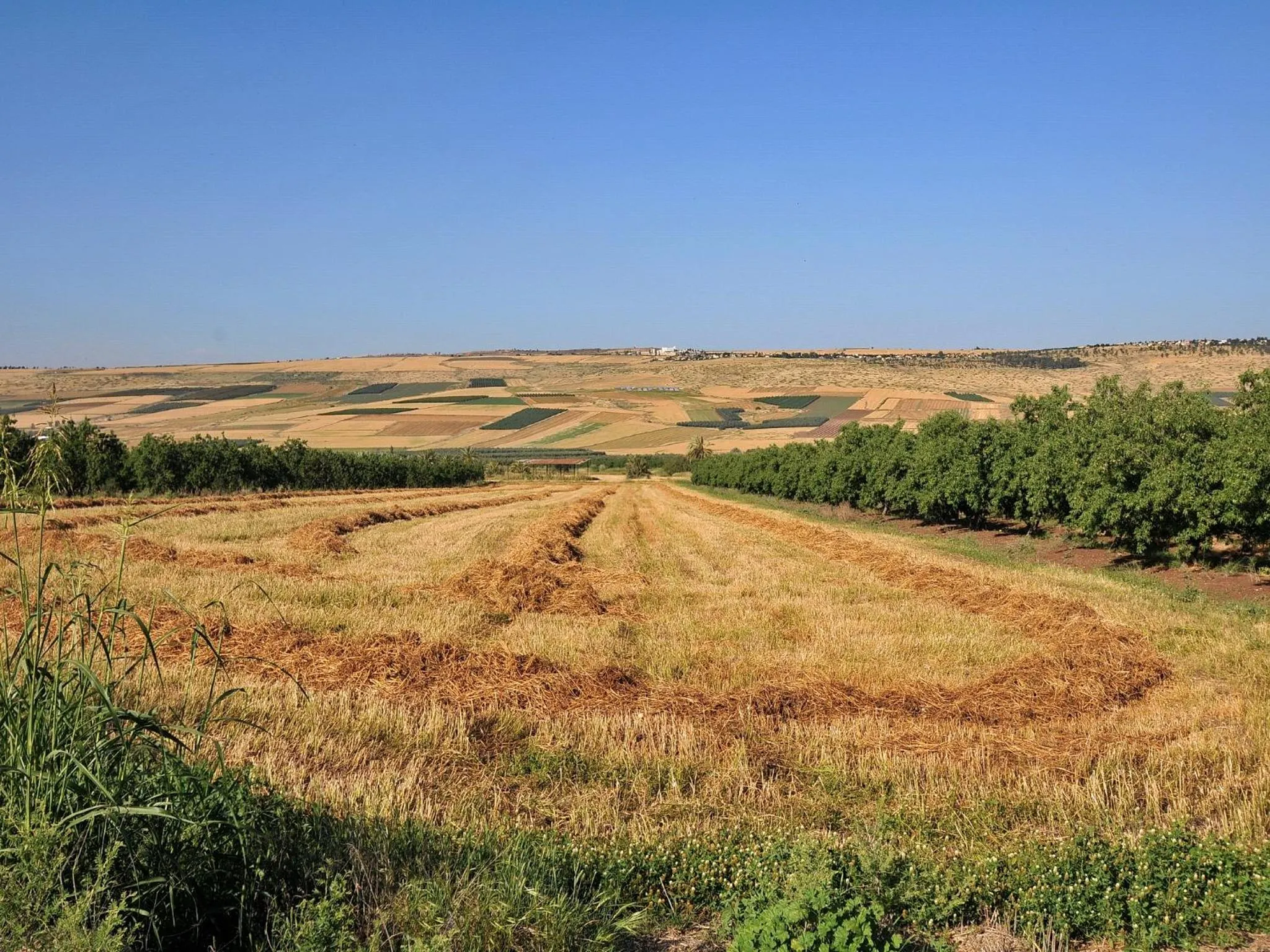 View (from property/room) in Zimmer BaSadot