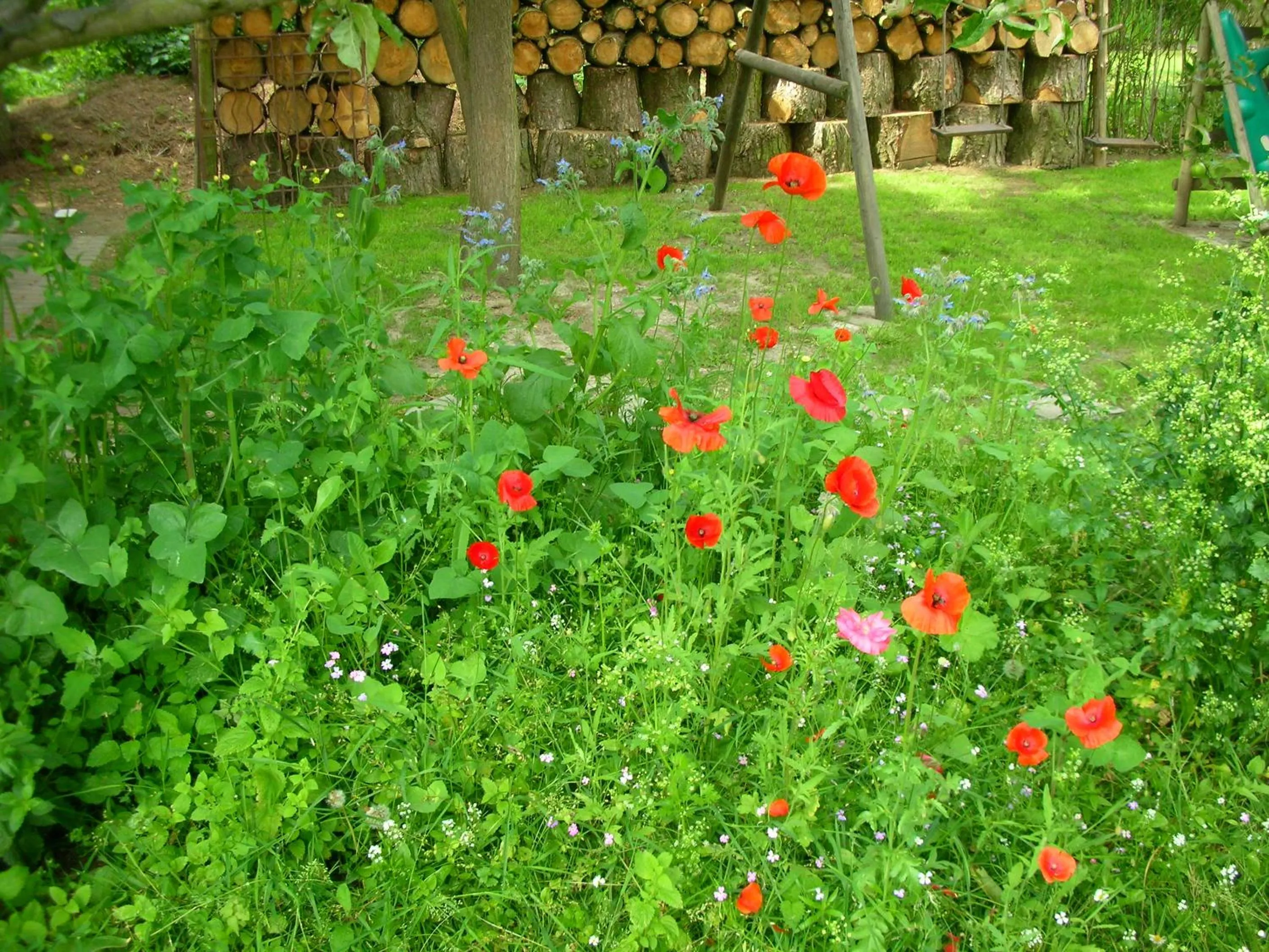 Garden view in La Chrysalide