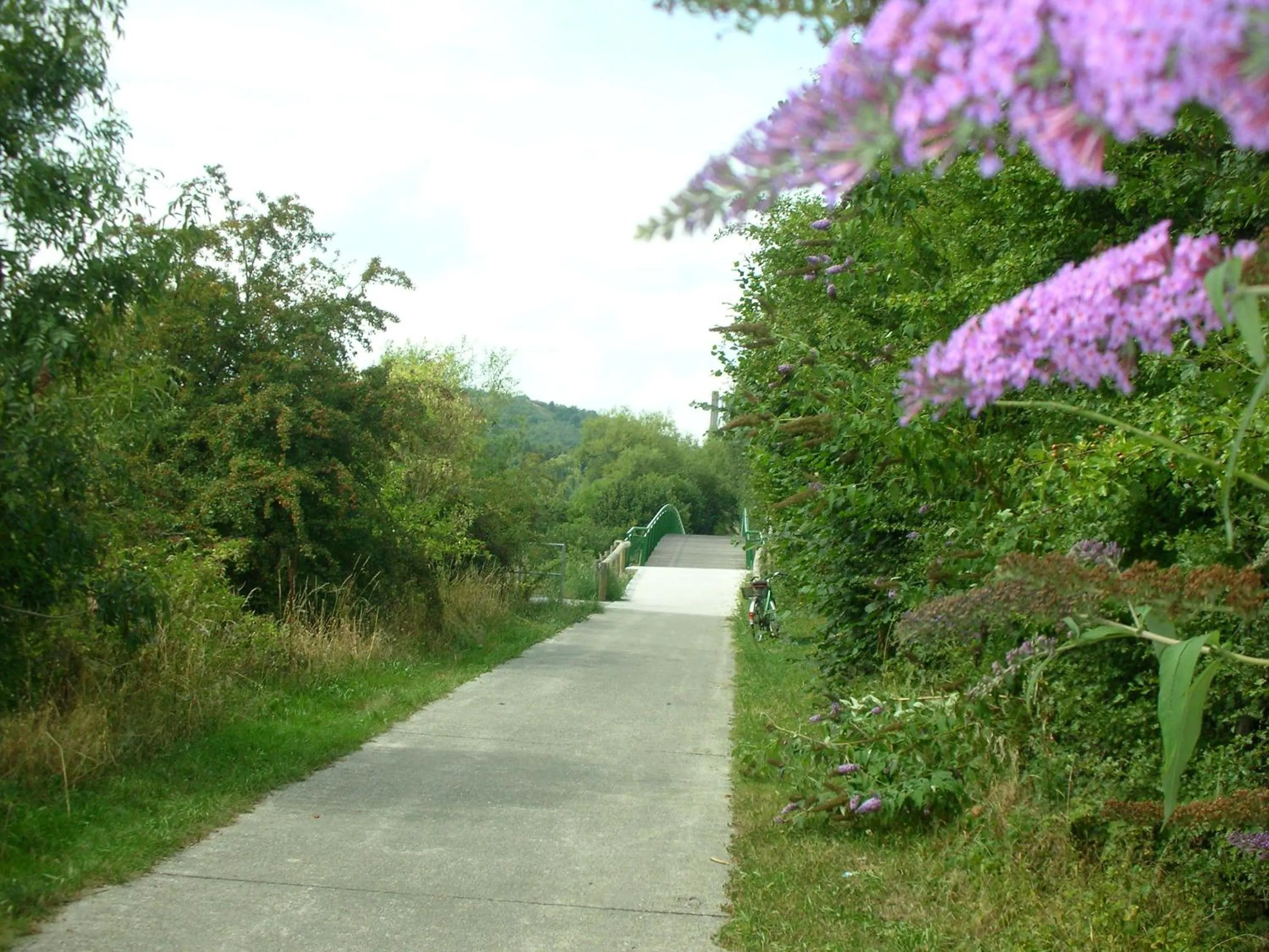 Cycling in La Chrysalide