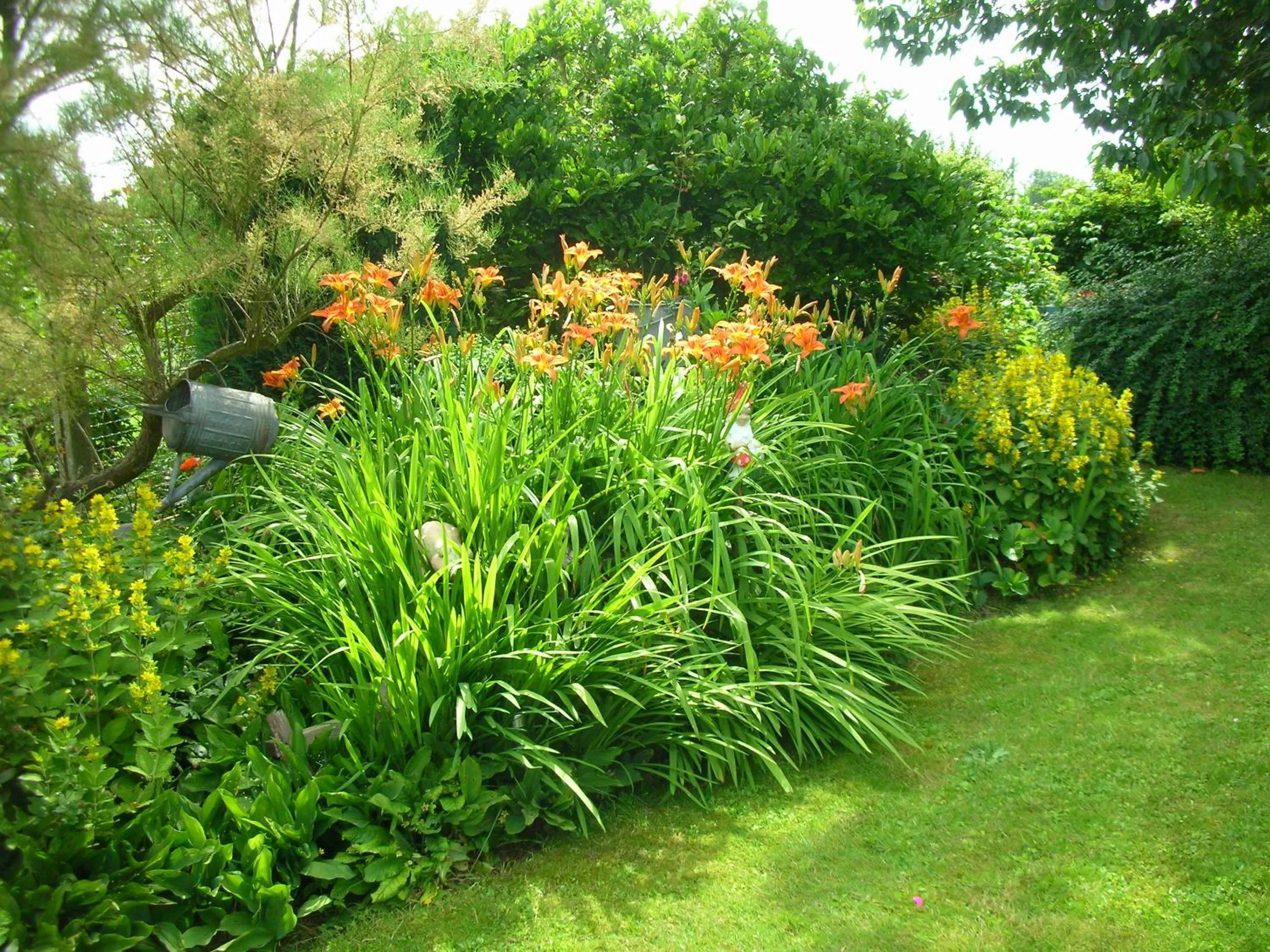 Garden view in La Chrysalide