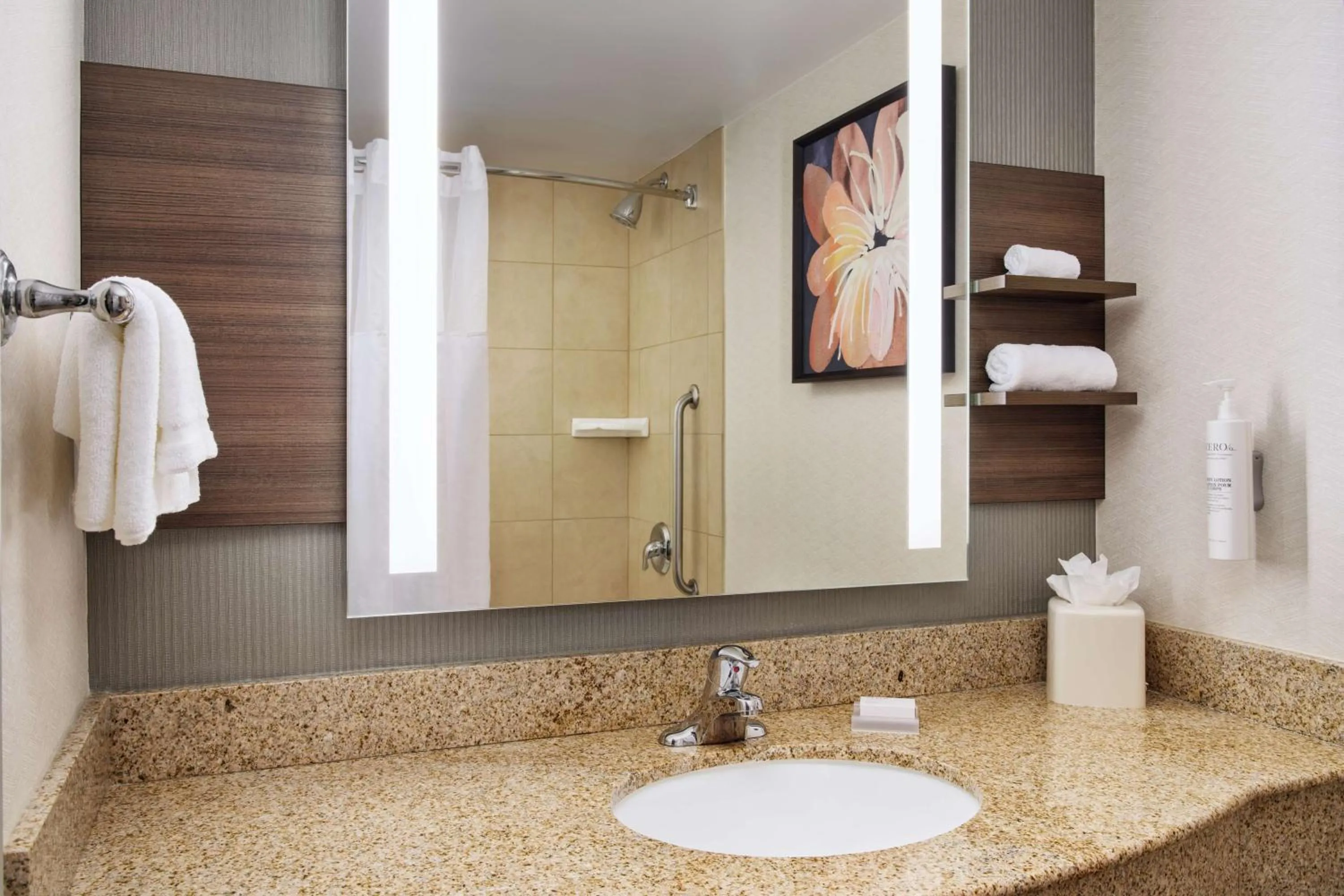 Bathroom in Hilton Garden Inn Schaumburg