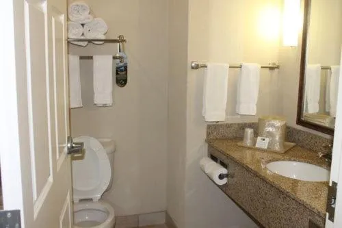 Bathroom in Holiday Inn Express Hotel & Suites New Iberia - Avery Island by IHG