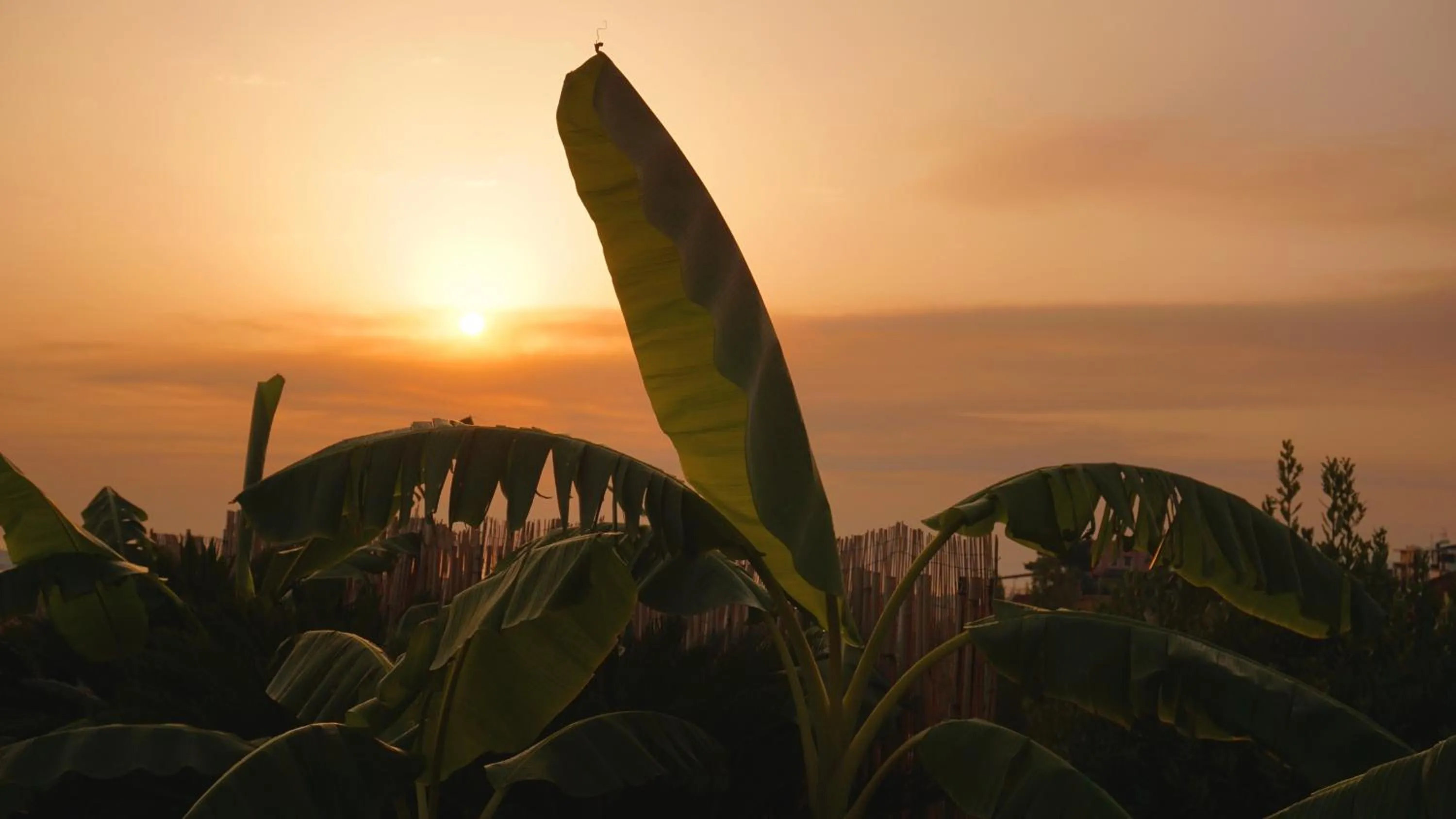 Natural landscape in B&B Sole e Luna