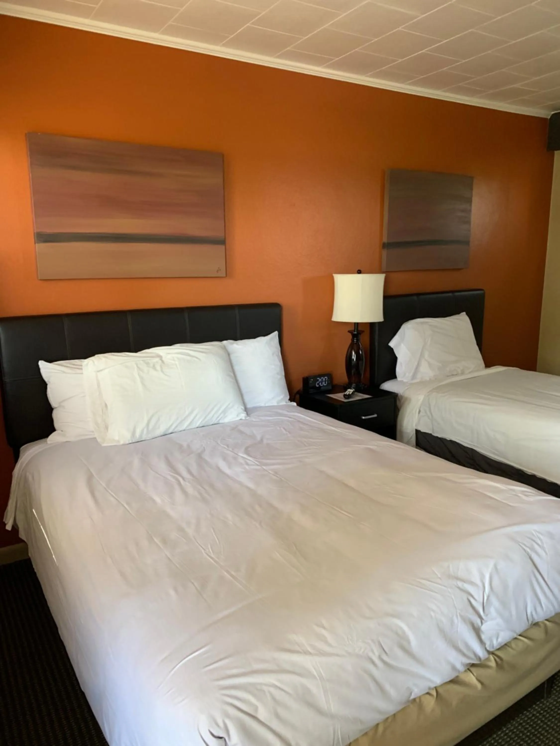 Bed in The Triangle Motel