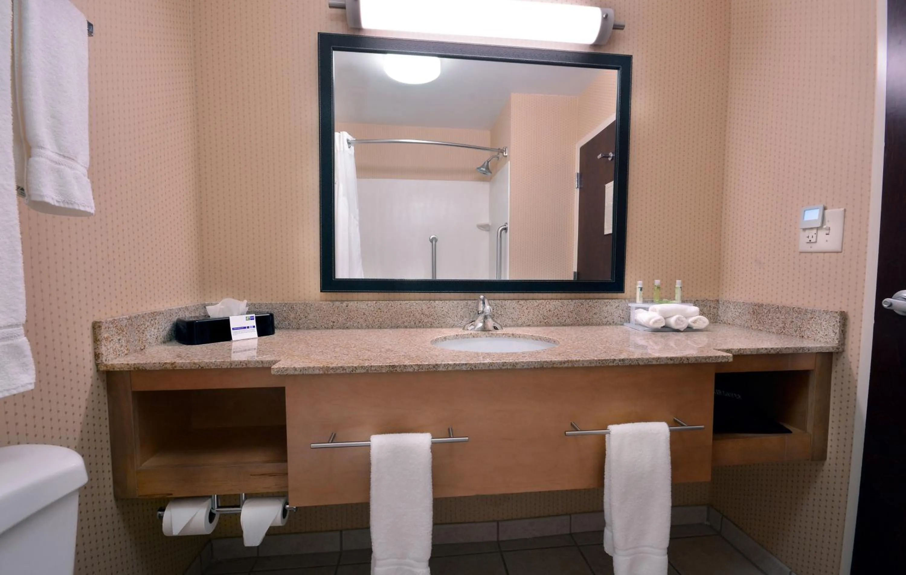Bathroom in Holiday Inn Express Hotel & Suites High Point South by IHG